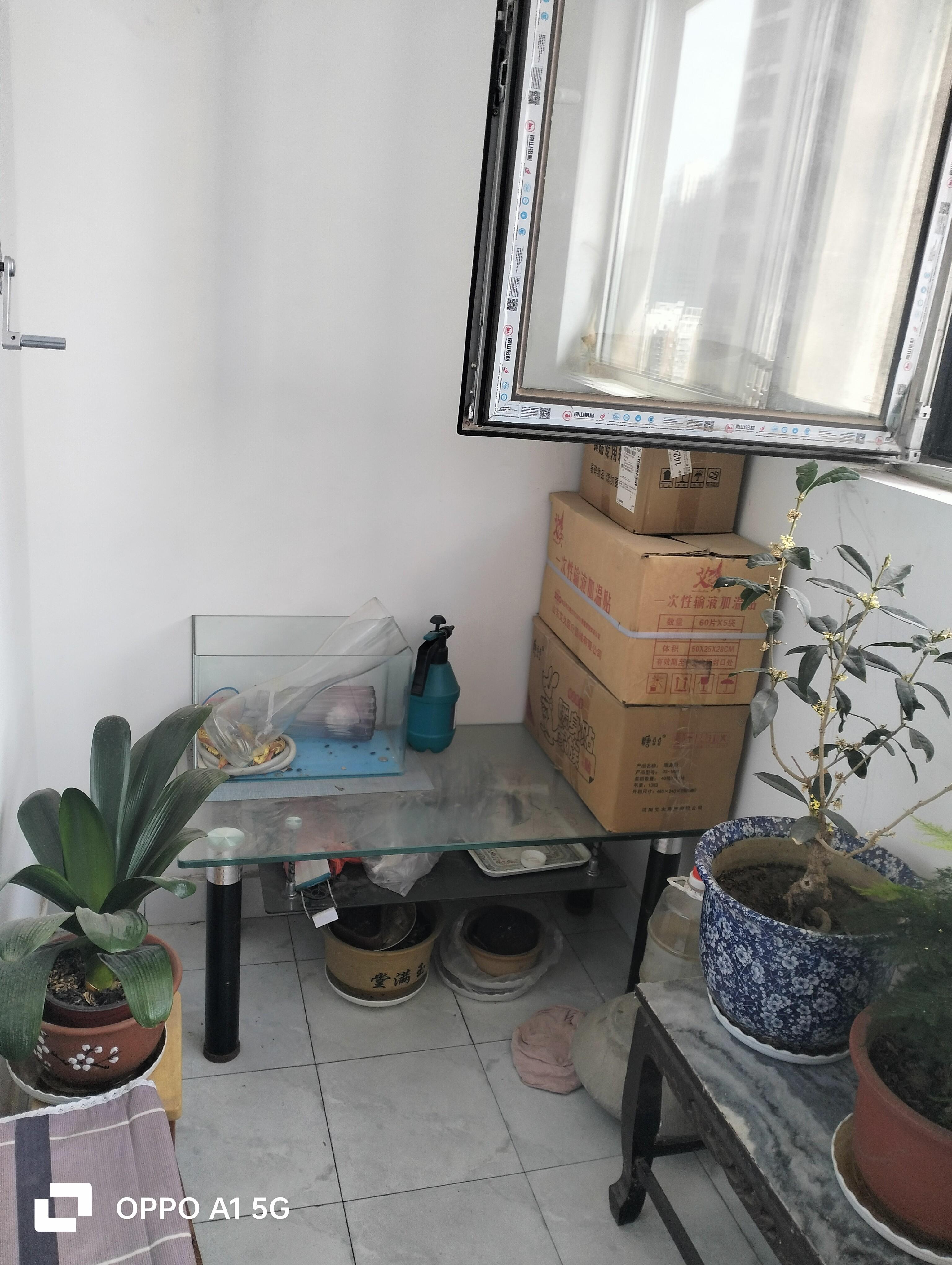 远洋湖印都会