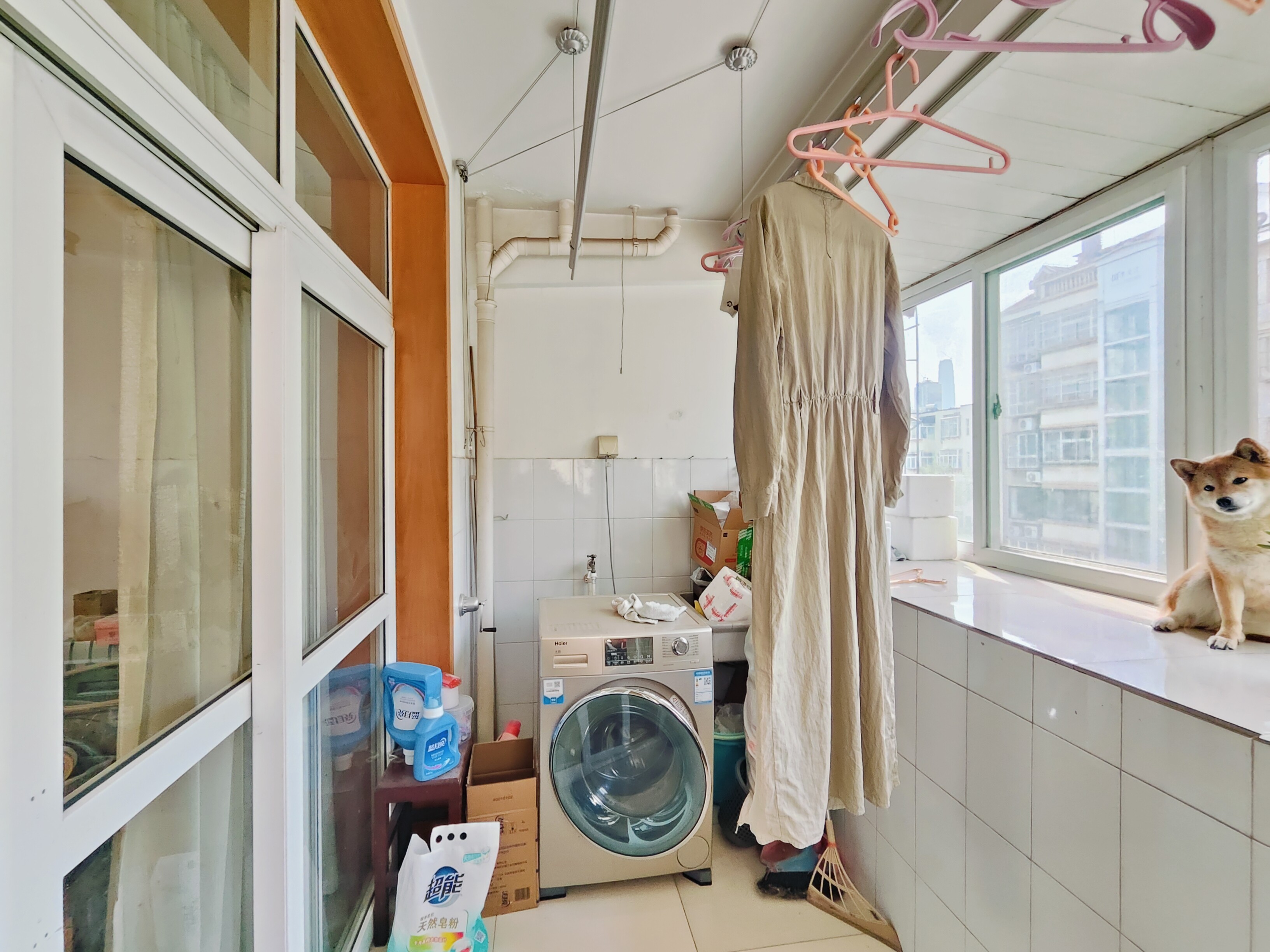 山大洪楼校区第五宿舍