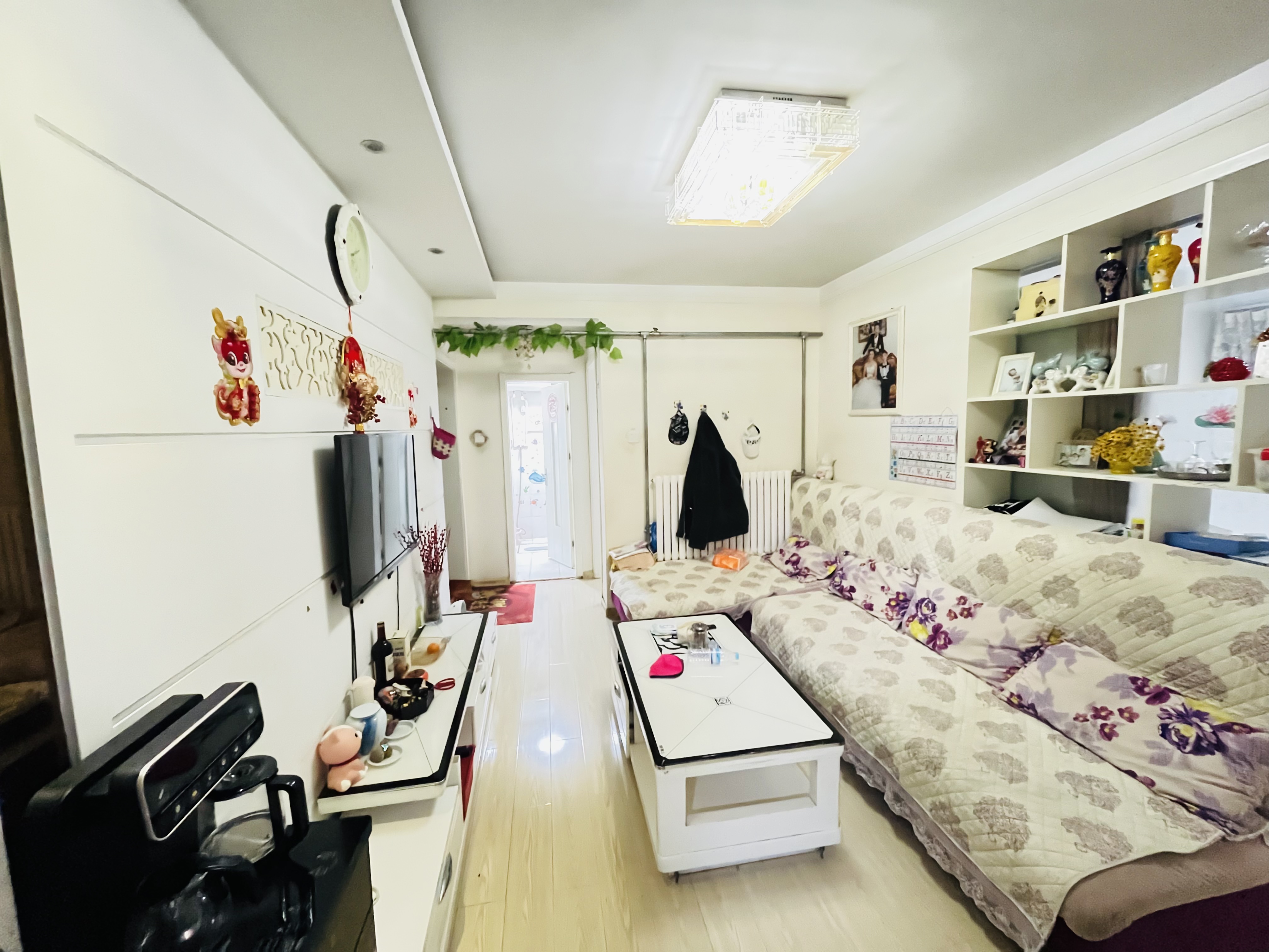 整租·制锦市少年路小区  南北