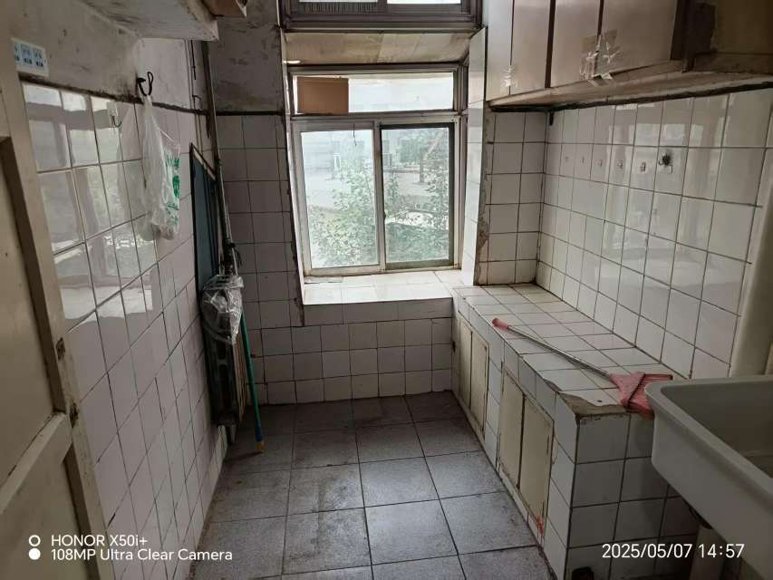 北大槐树51号