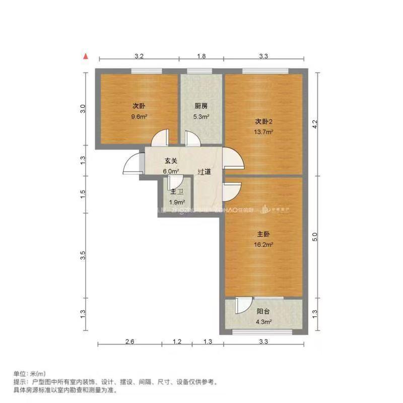 北大槐树51号