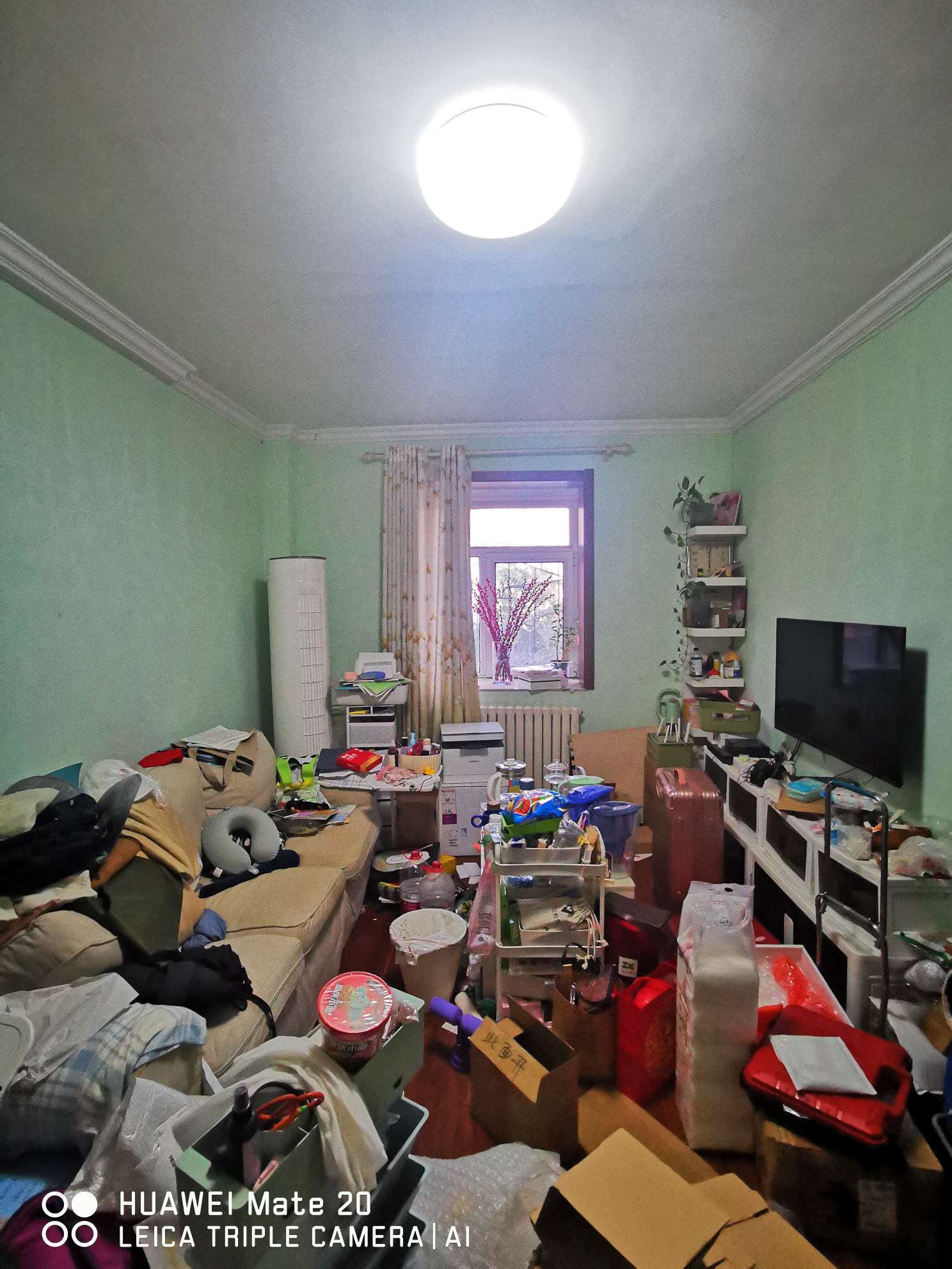整租·杆南西街小区  南北