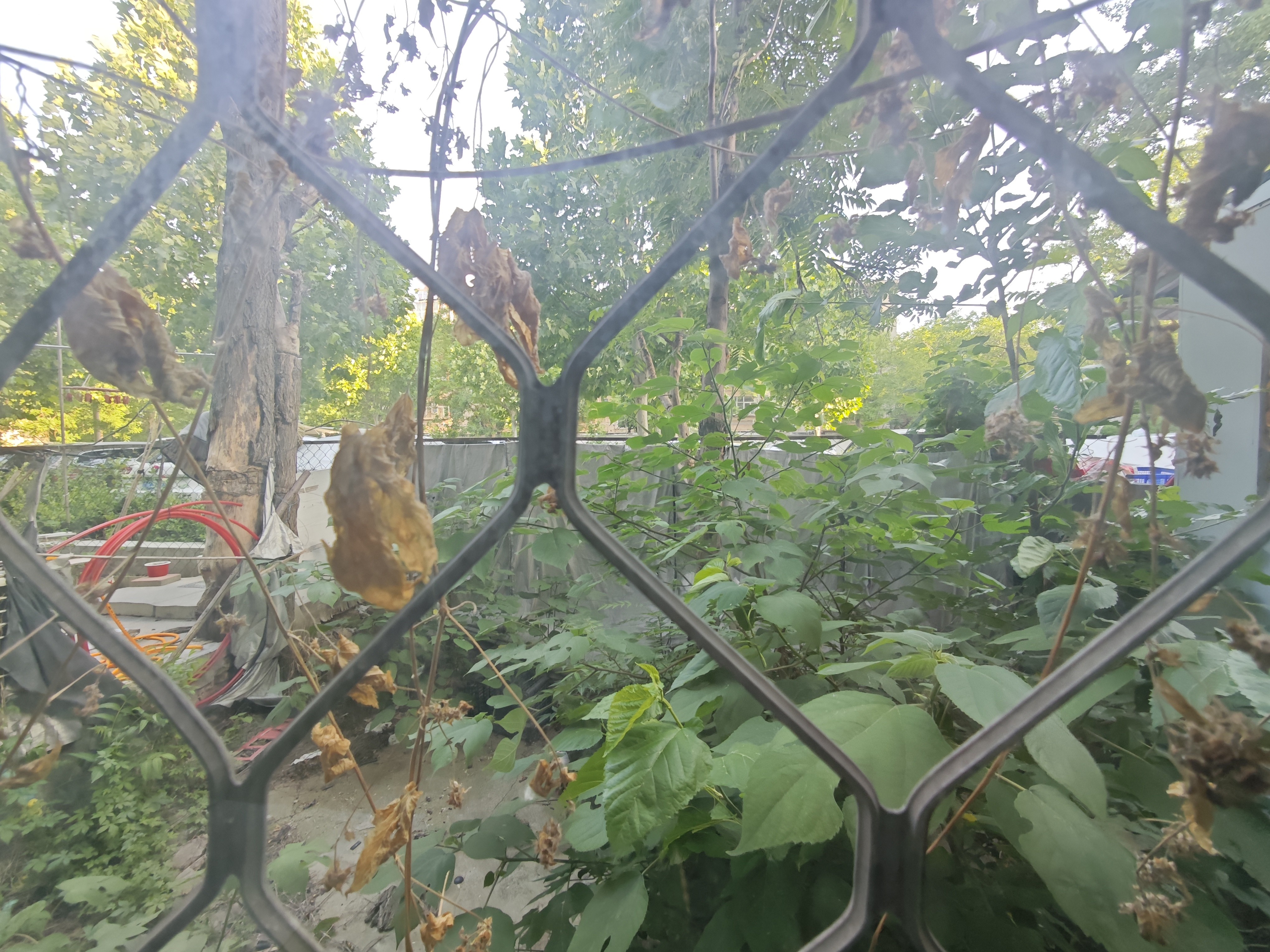 燕东新路11-1号院