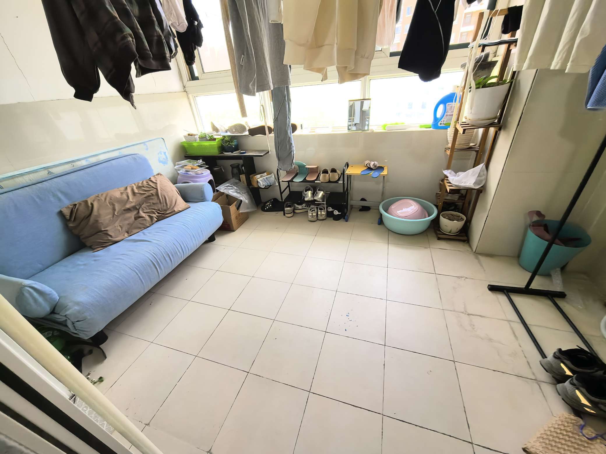 鲁商常春藤