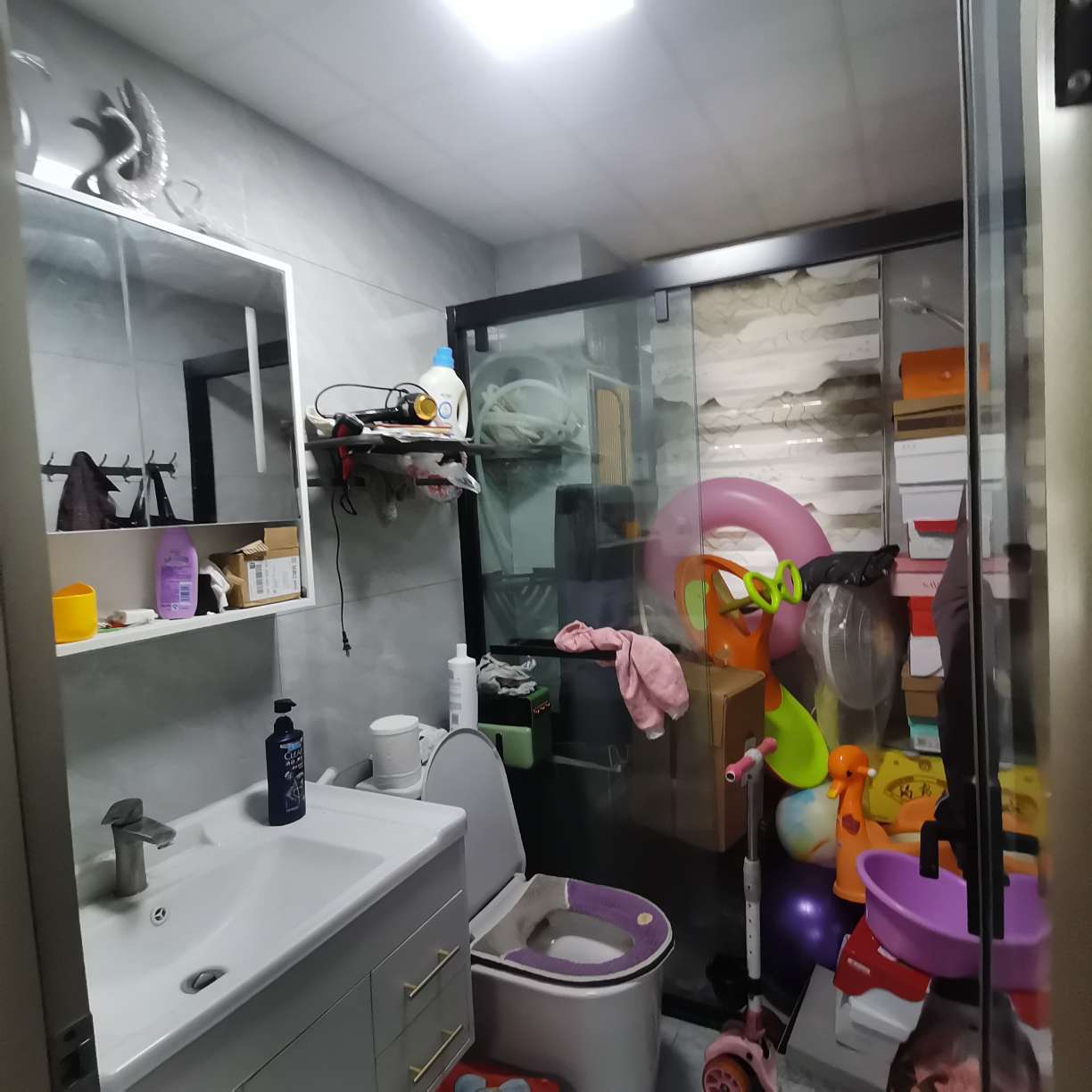 中骏雍景府