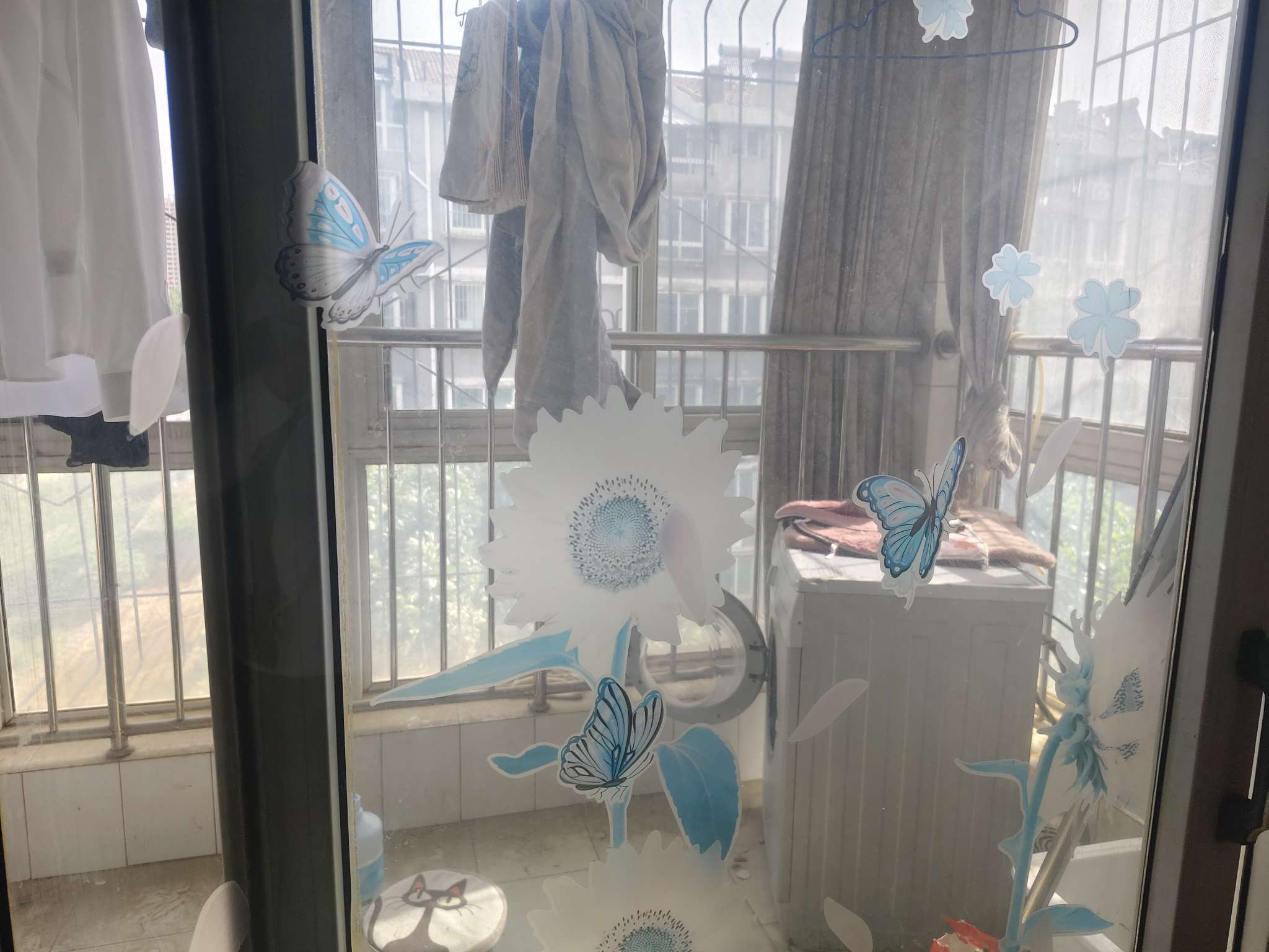 鲍青苑