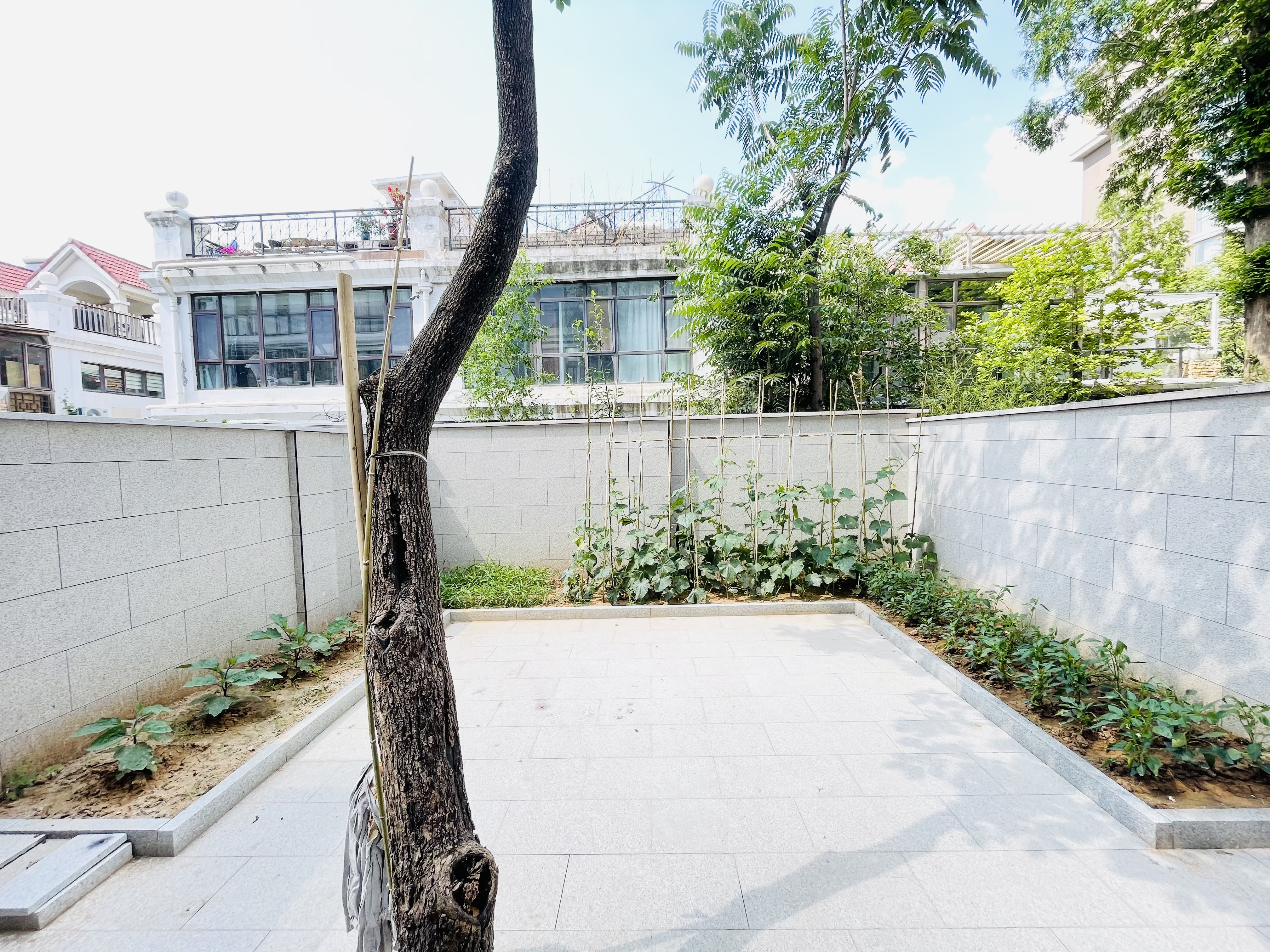 世通新生活家园