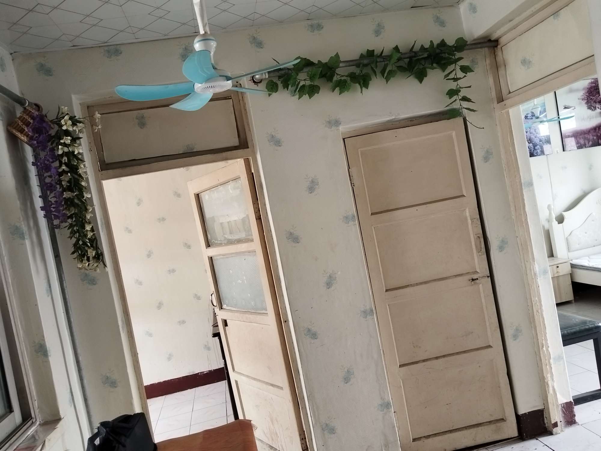 小柳行头