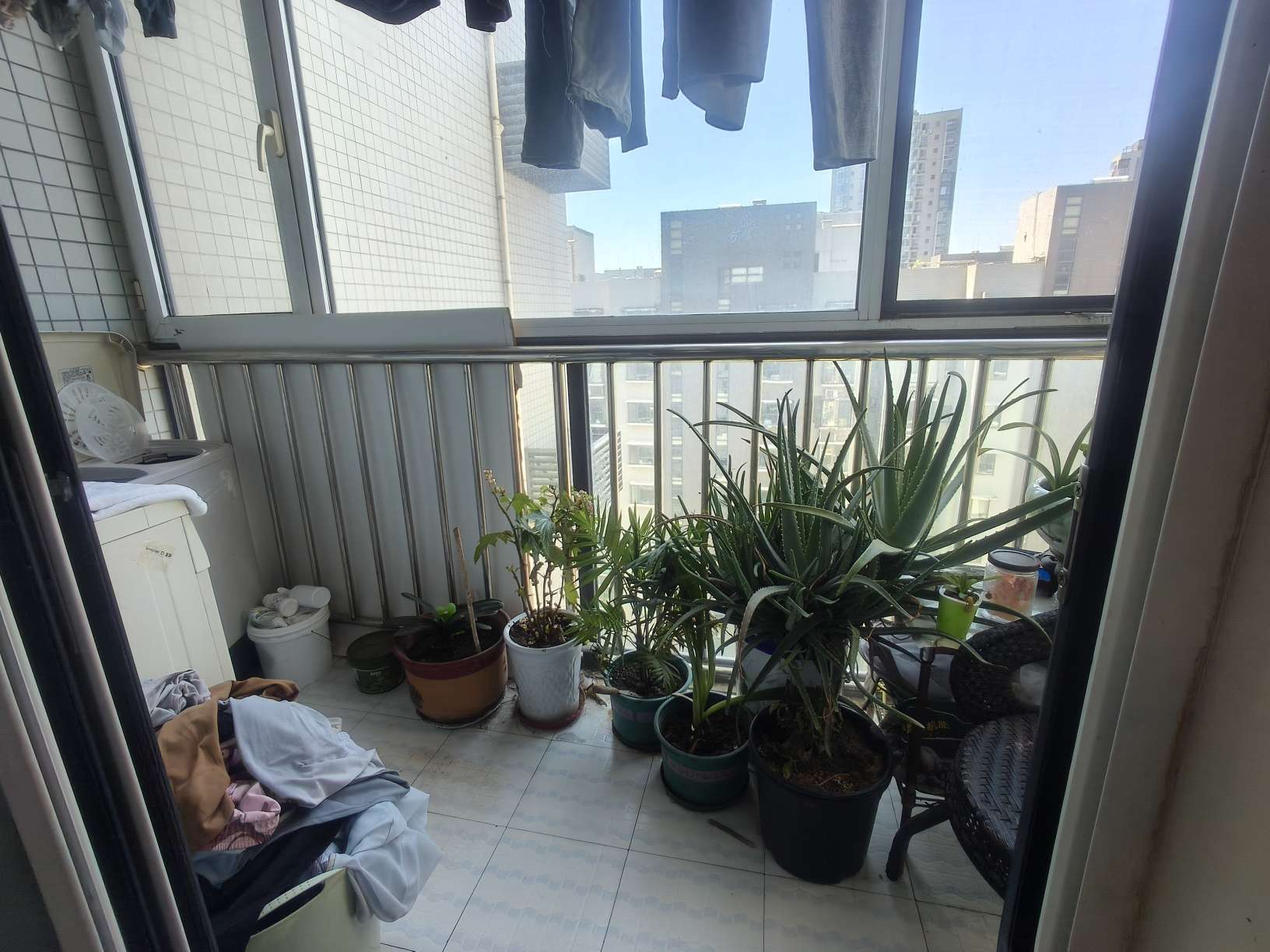 锦绣泉城