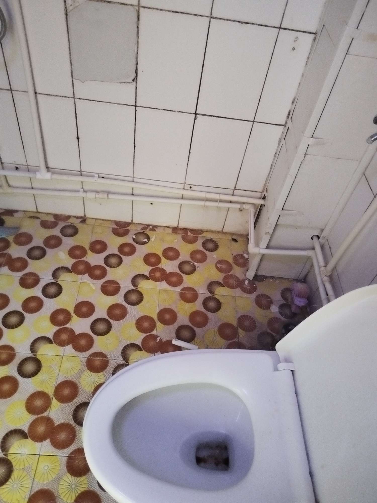 中伟新居