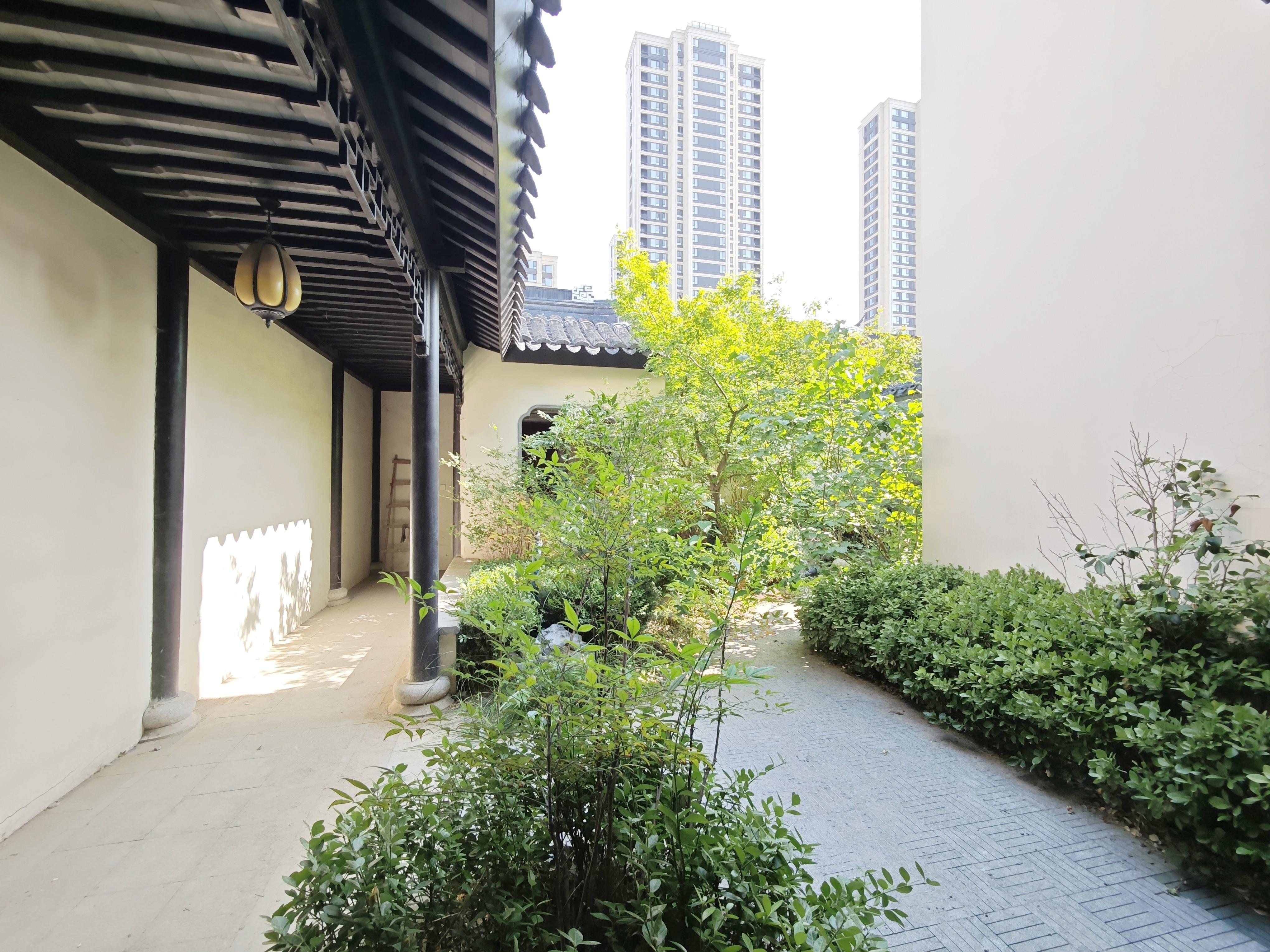 杨柳春风