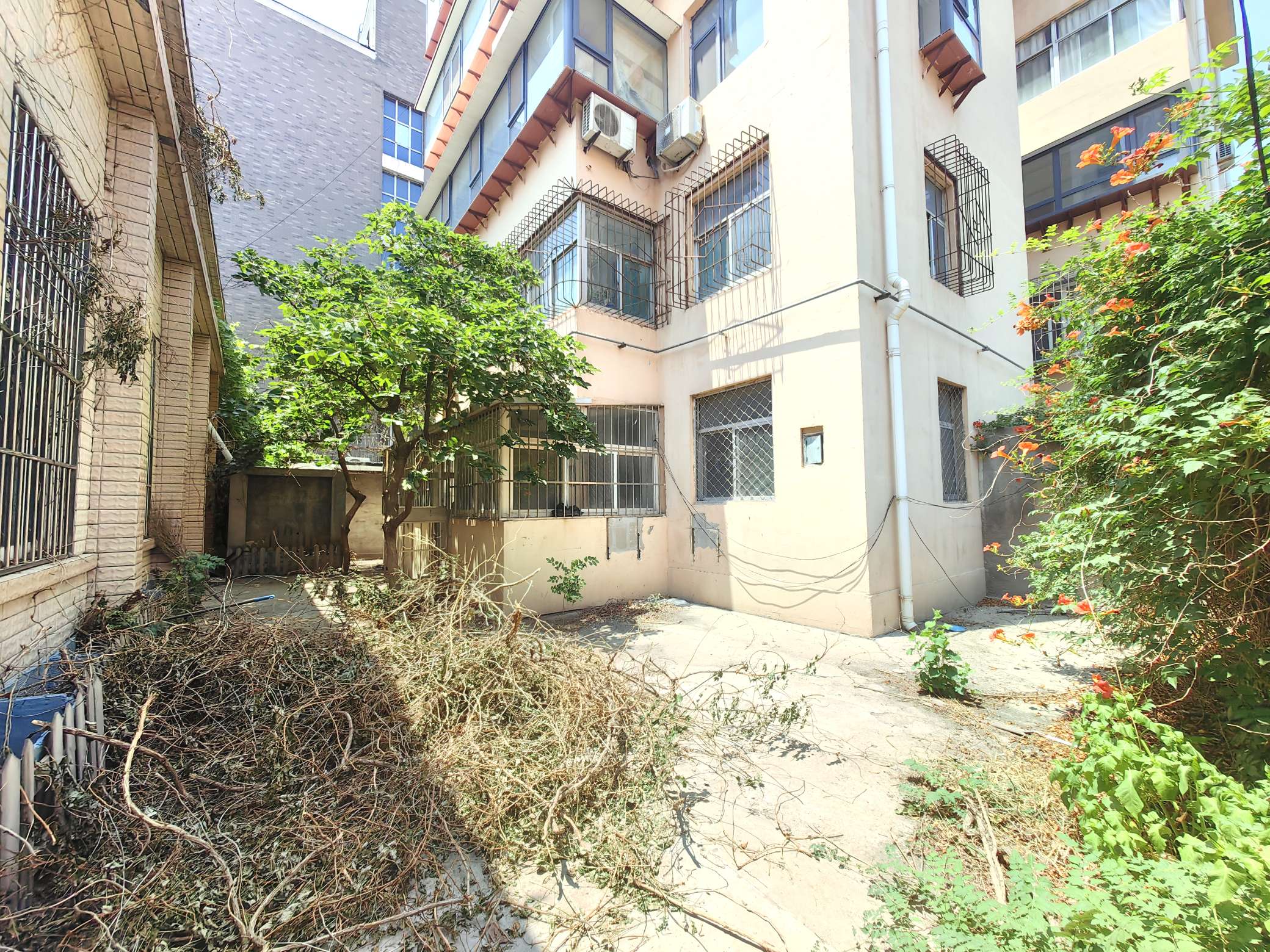 整租·一楼带院 省政协机关第二宿舍 3室1厅 南北通透大明湖风景区
