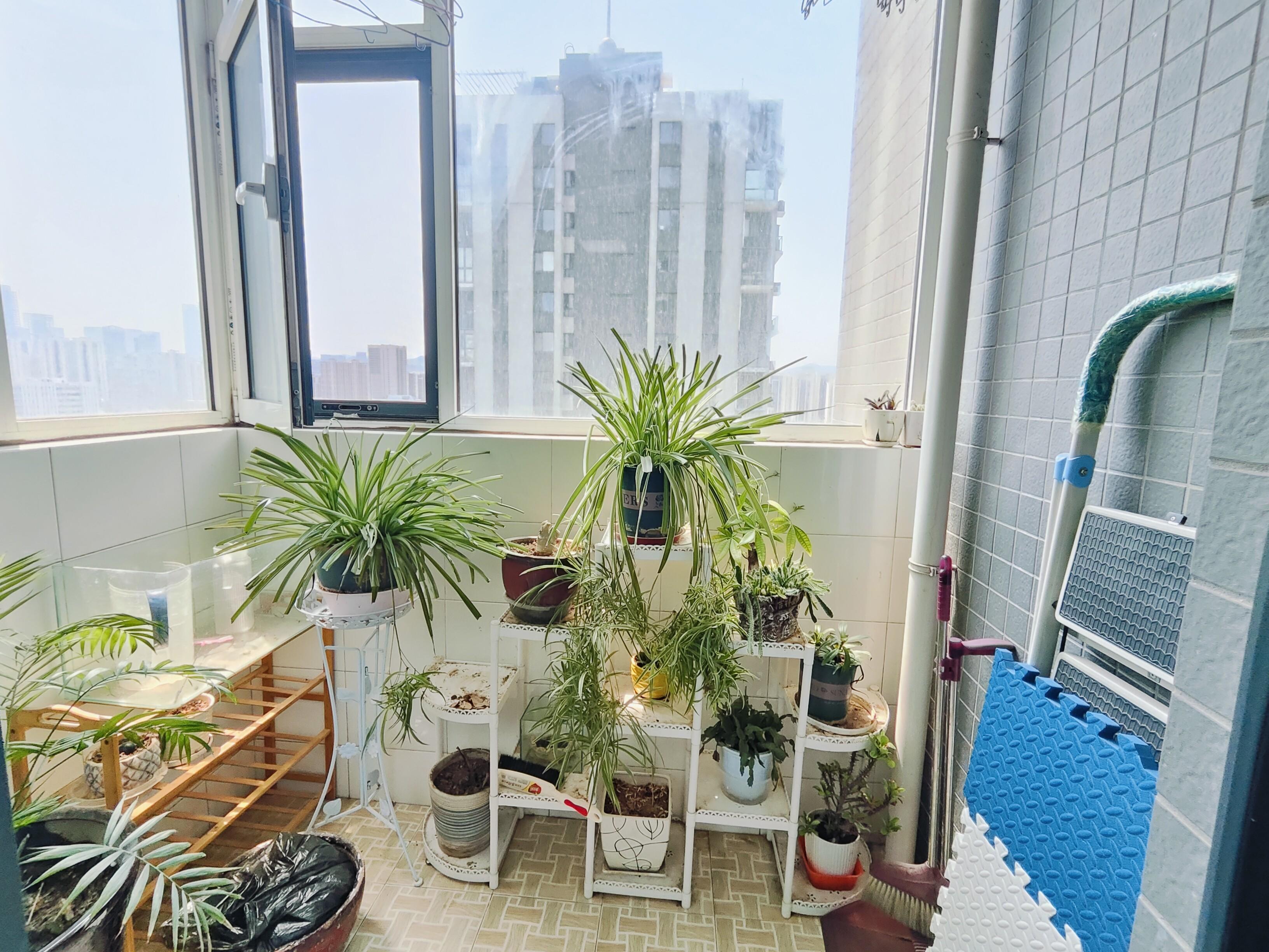 锦绣泉城