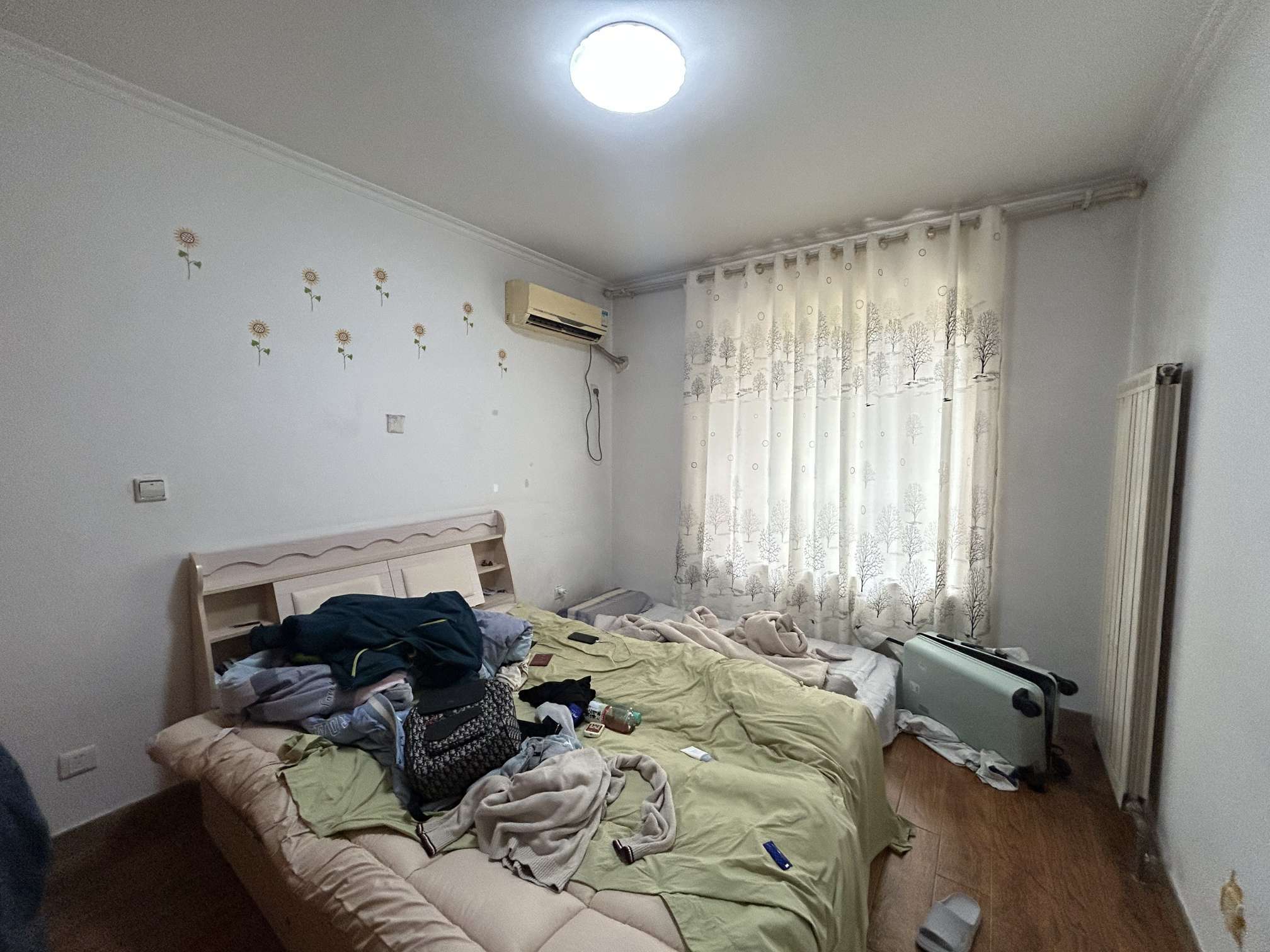 鲁商常春藤