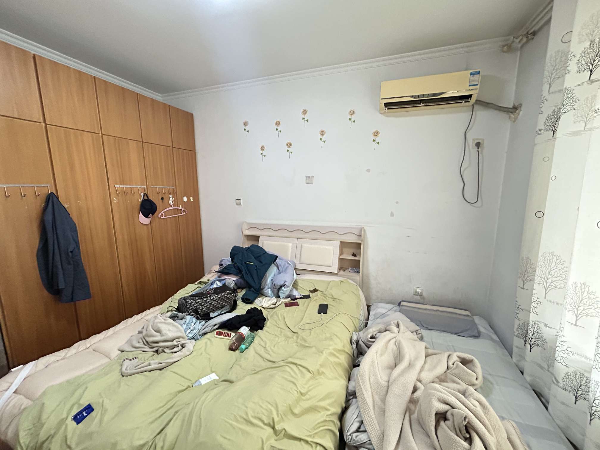 鲁商常春藤