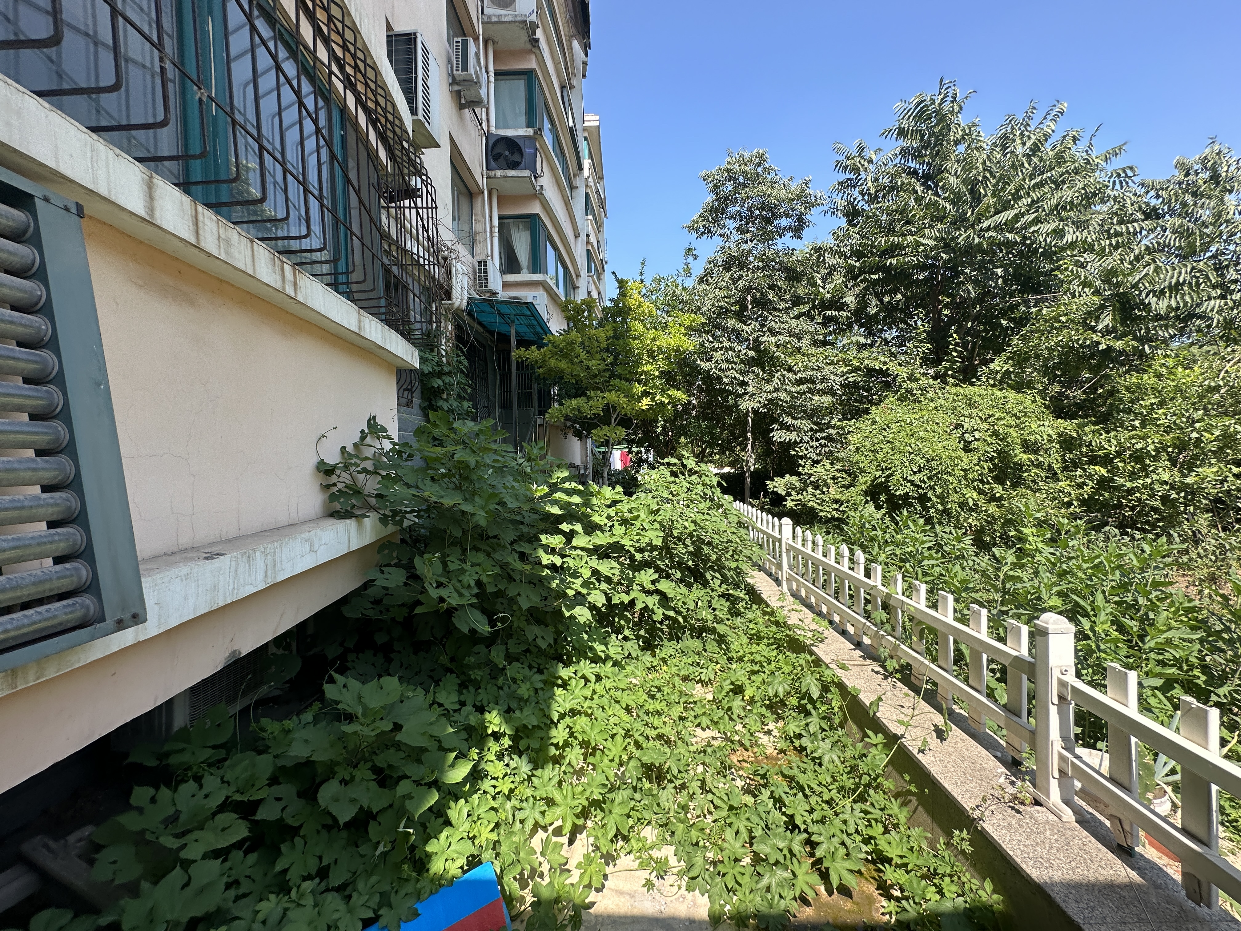 华夏金色阳光花园