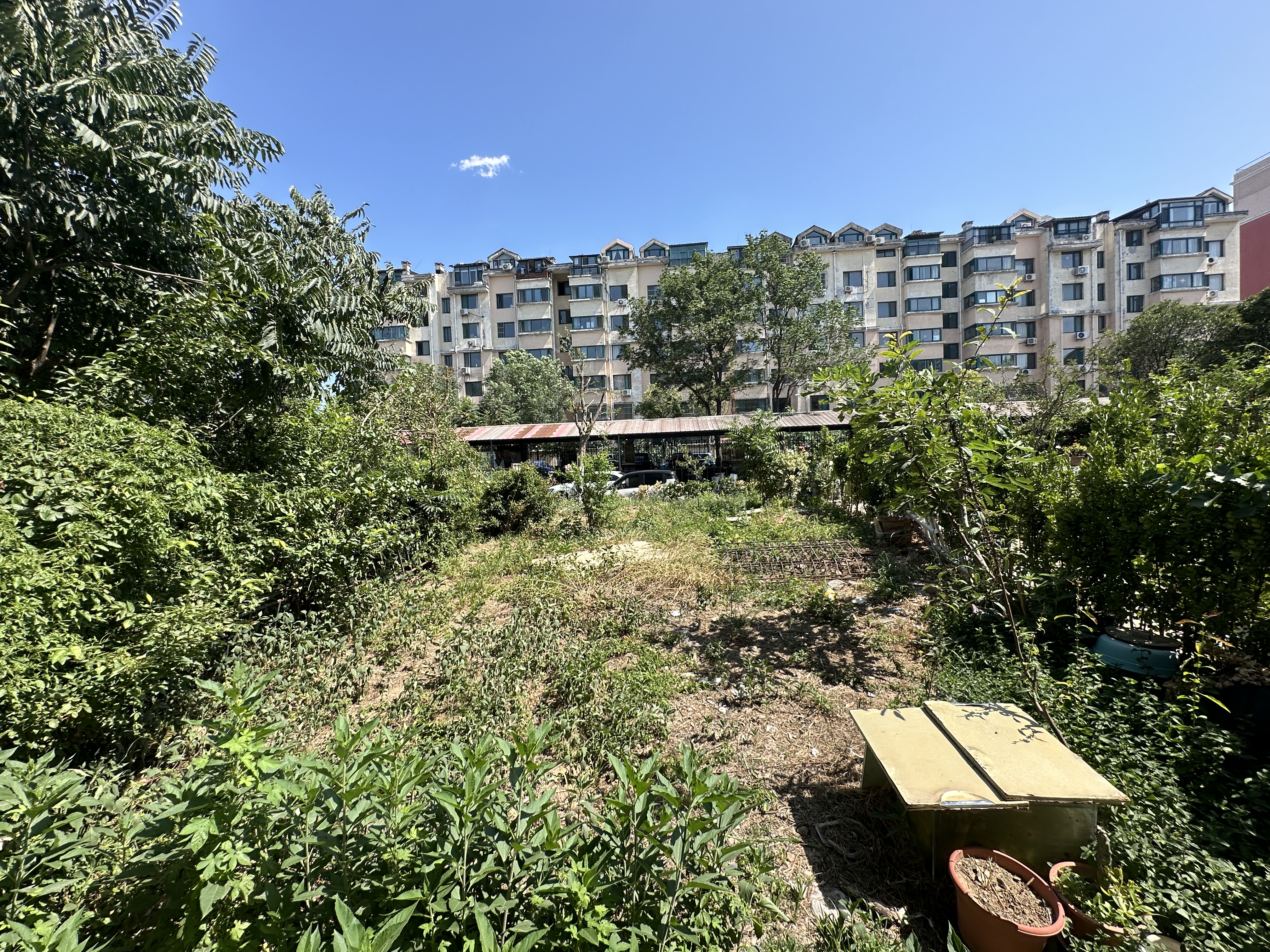 华夏金色阳光花园