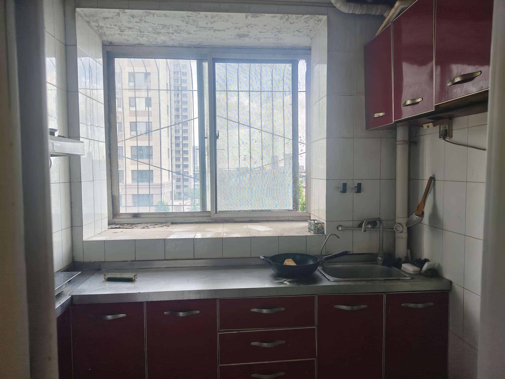 鲍青苑