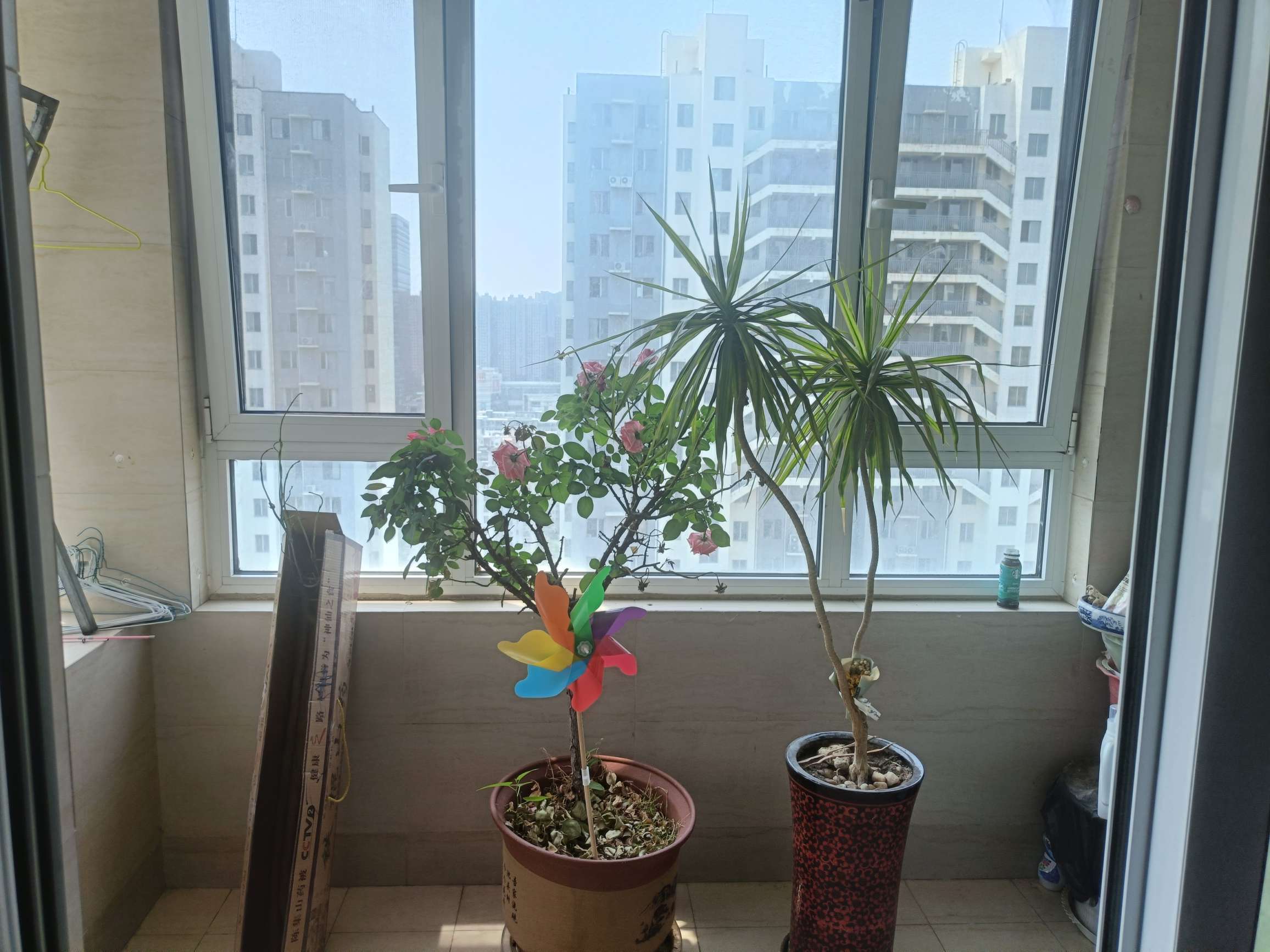 丽景苑