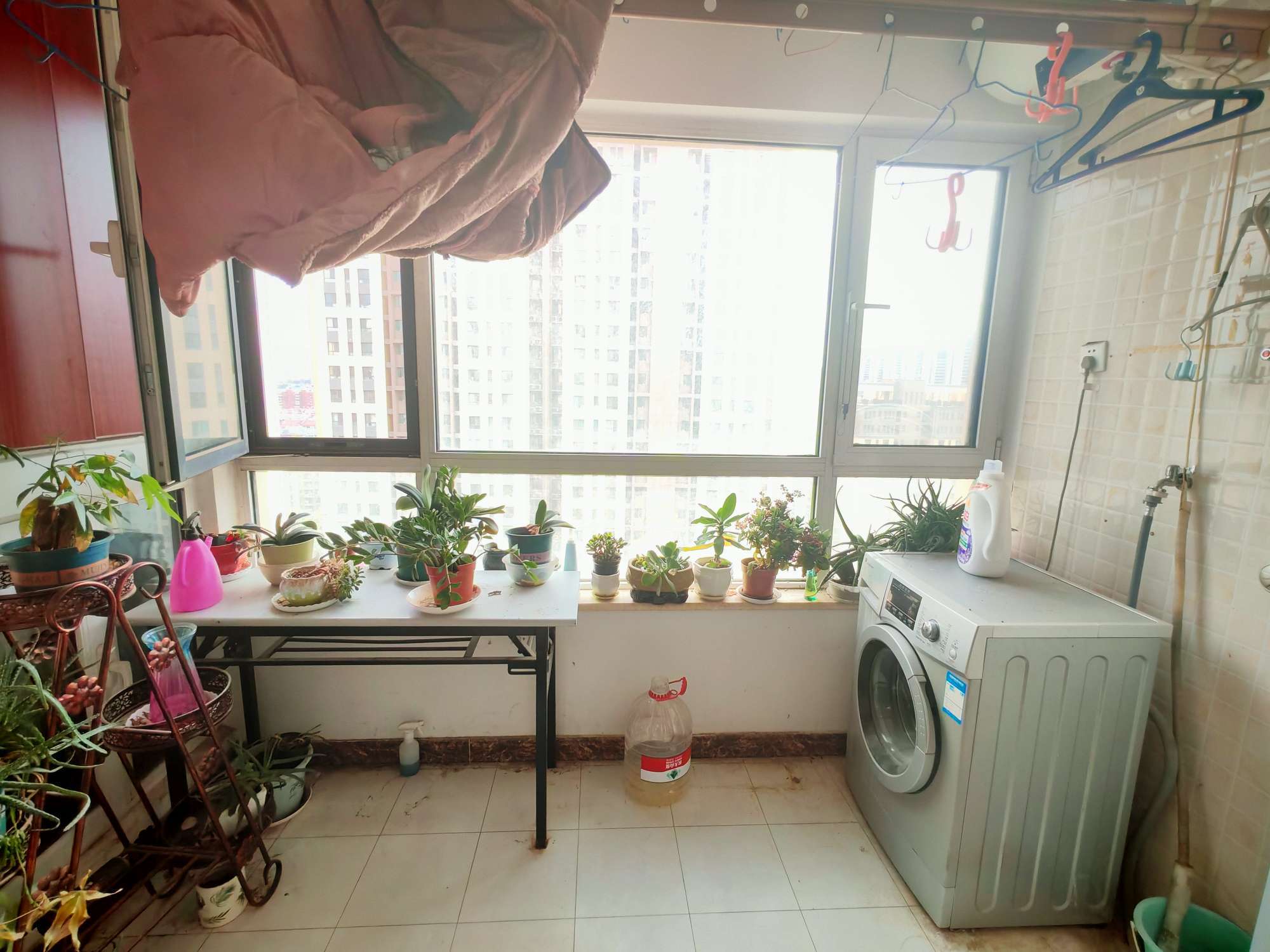 鑫苑名家