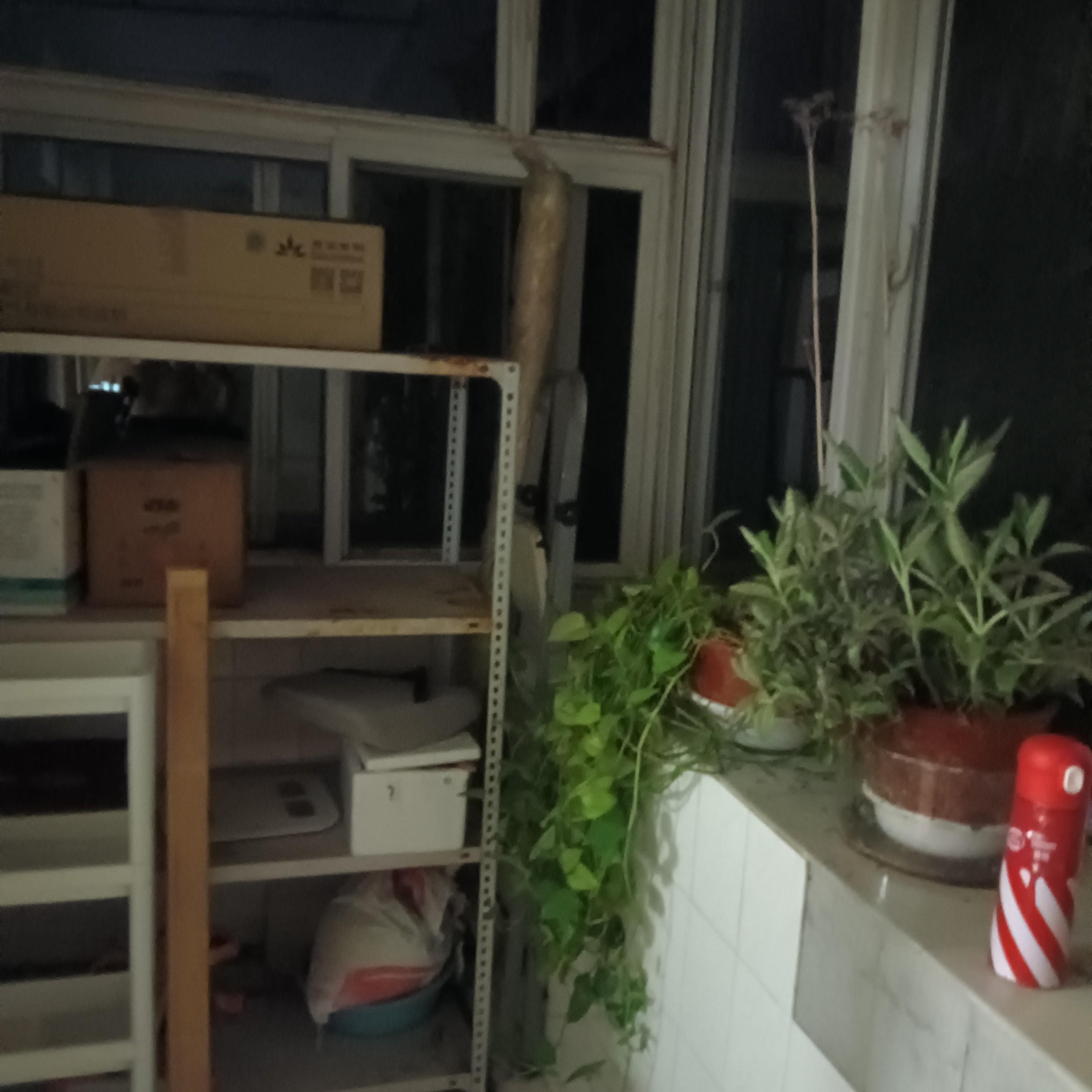 舜玉小区北区