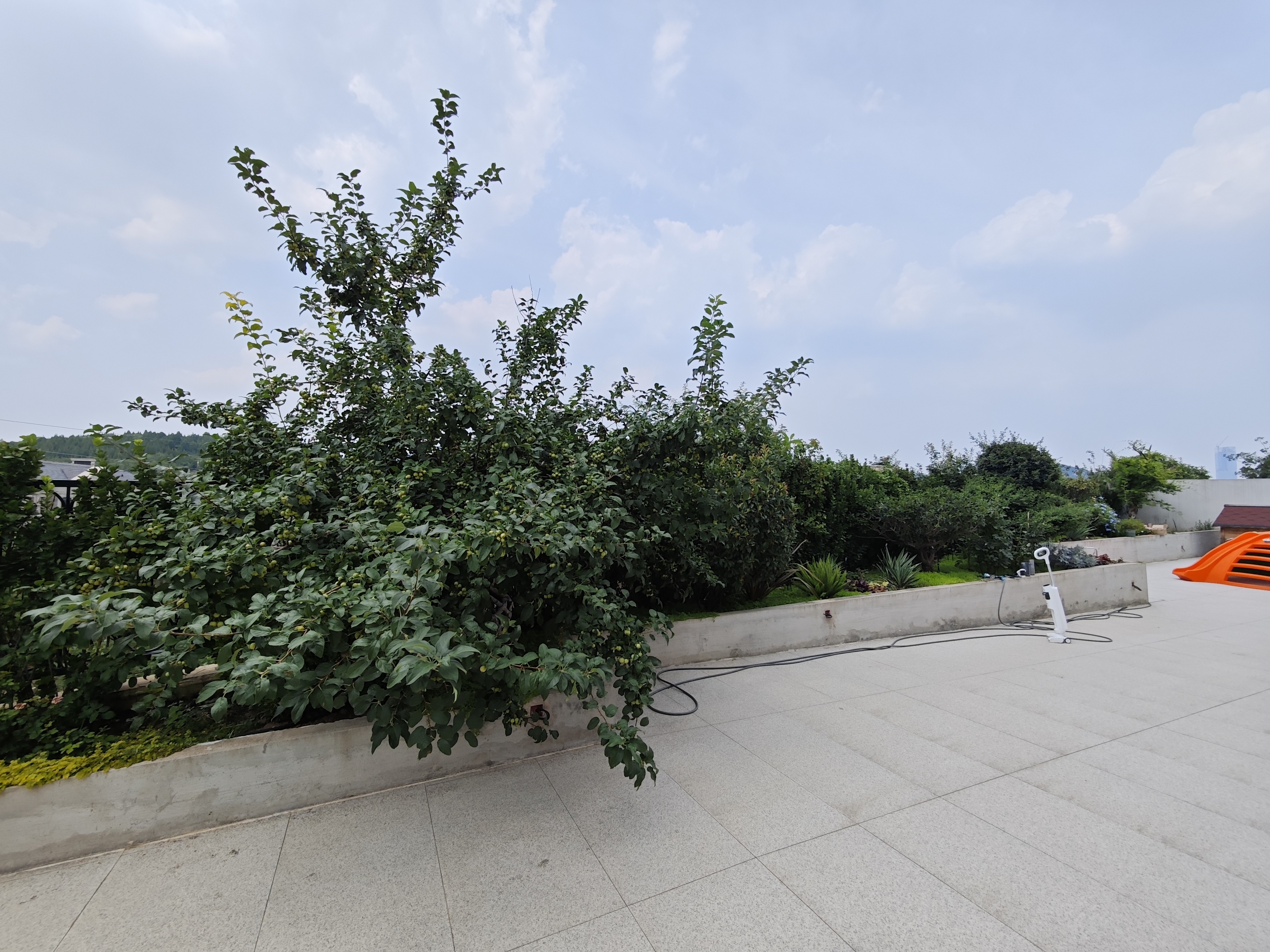 海尔绿城全运村