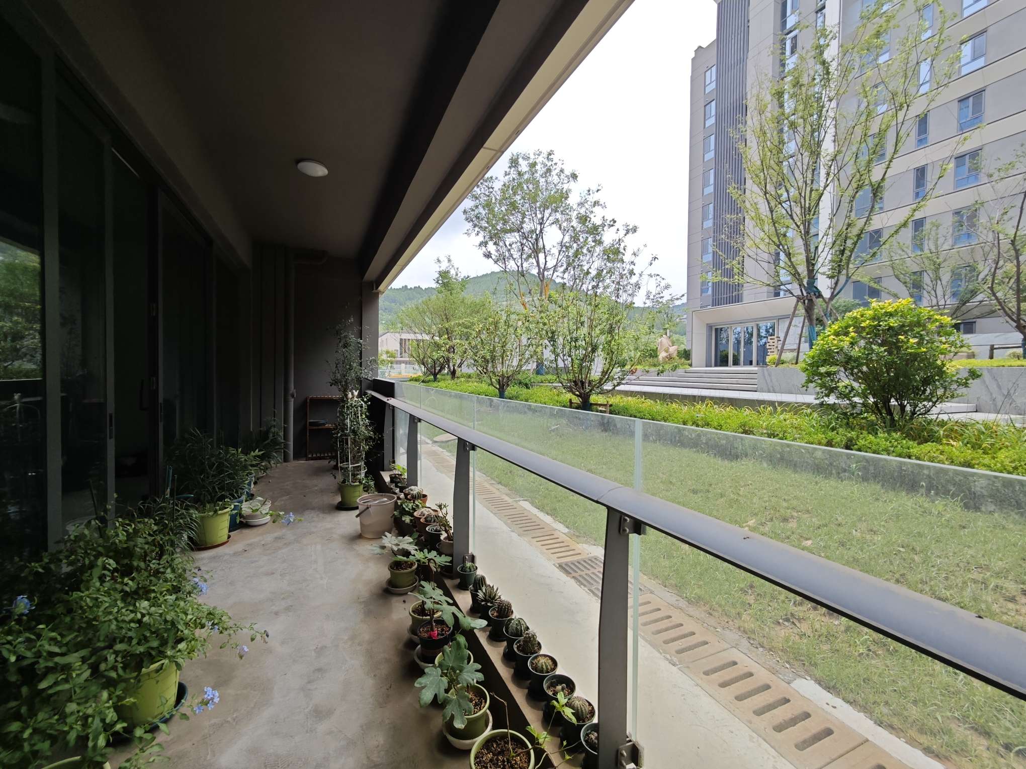 金科琼华九璋住宅