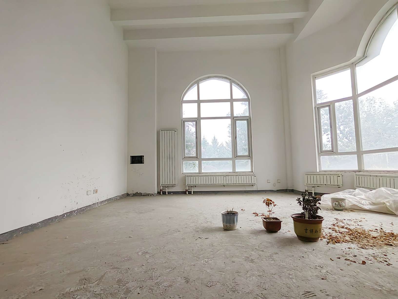  碧桂园凤凰城 南北