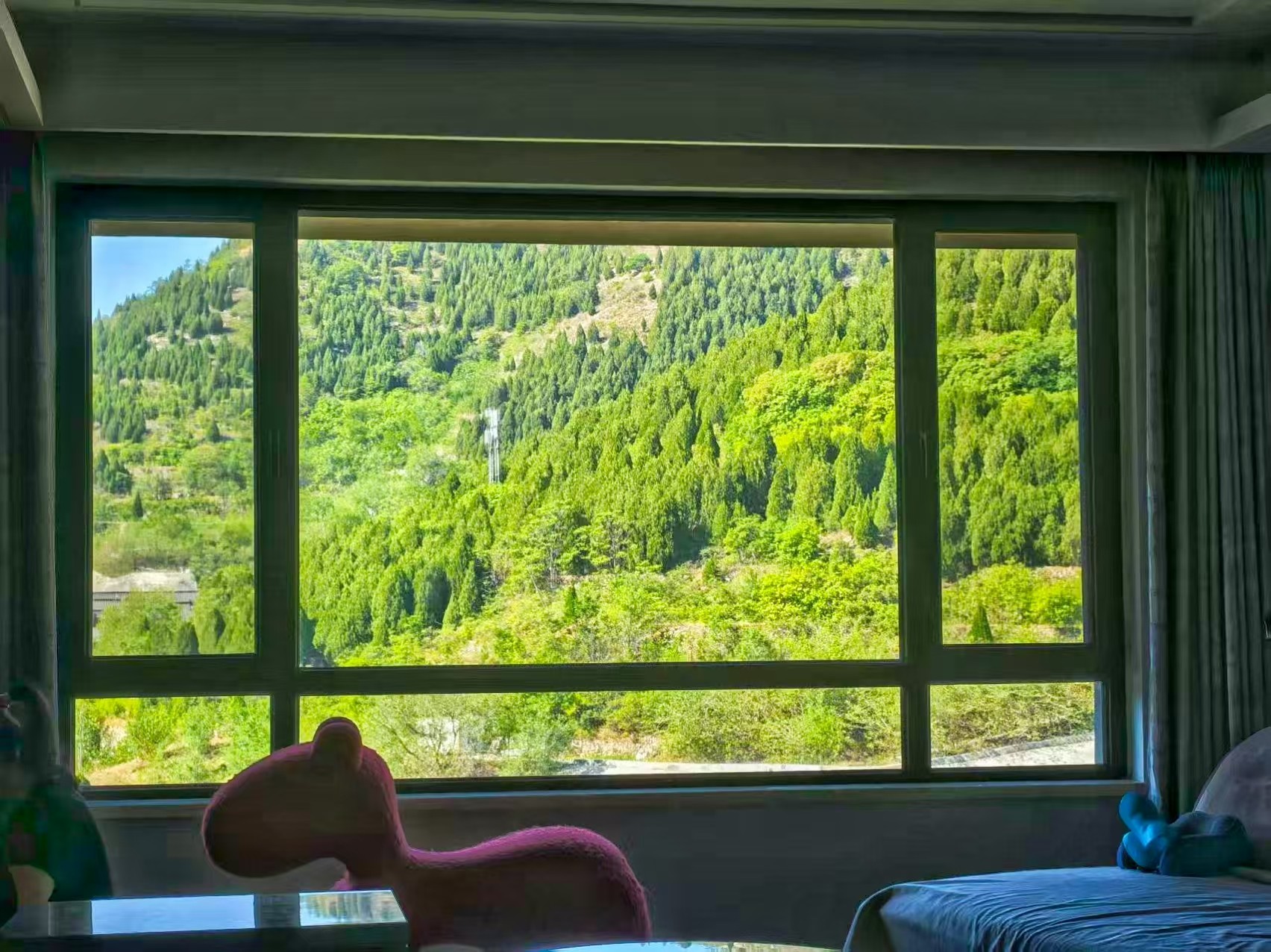 高新绿城玉兰花园