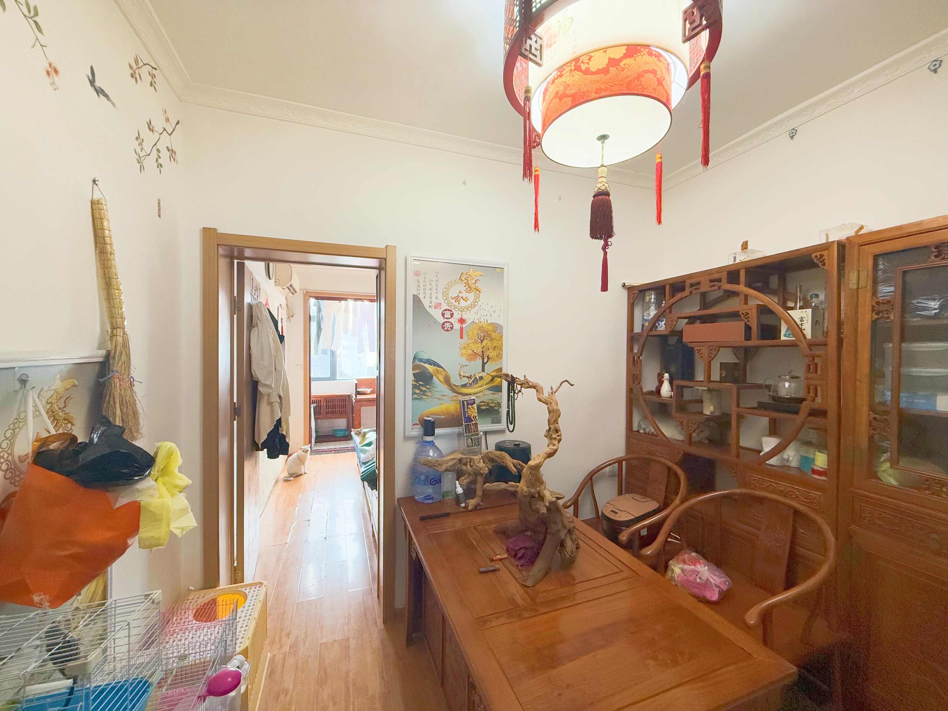  制锦市少年路小区  南北