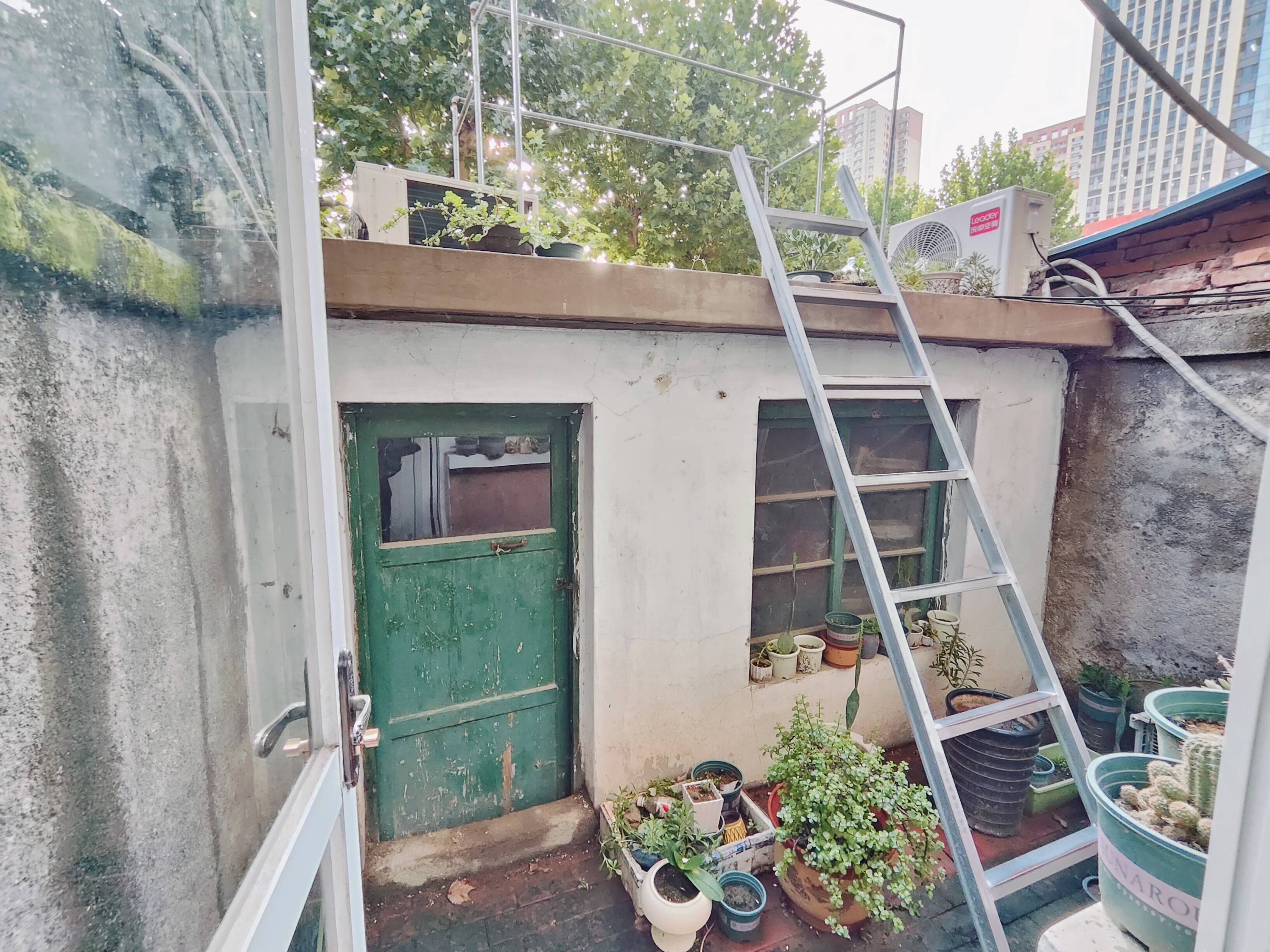 洪家楼西路16-3号