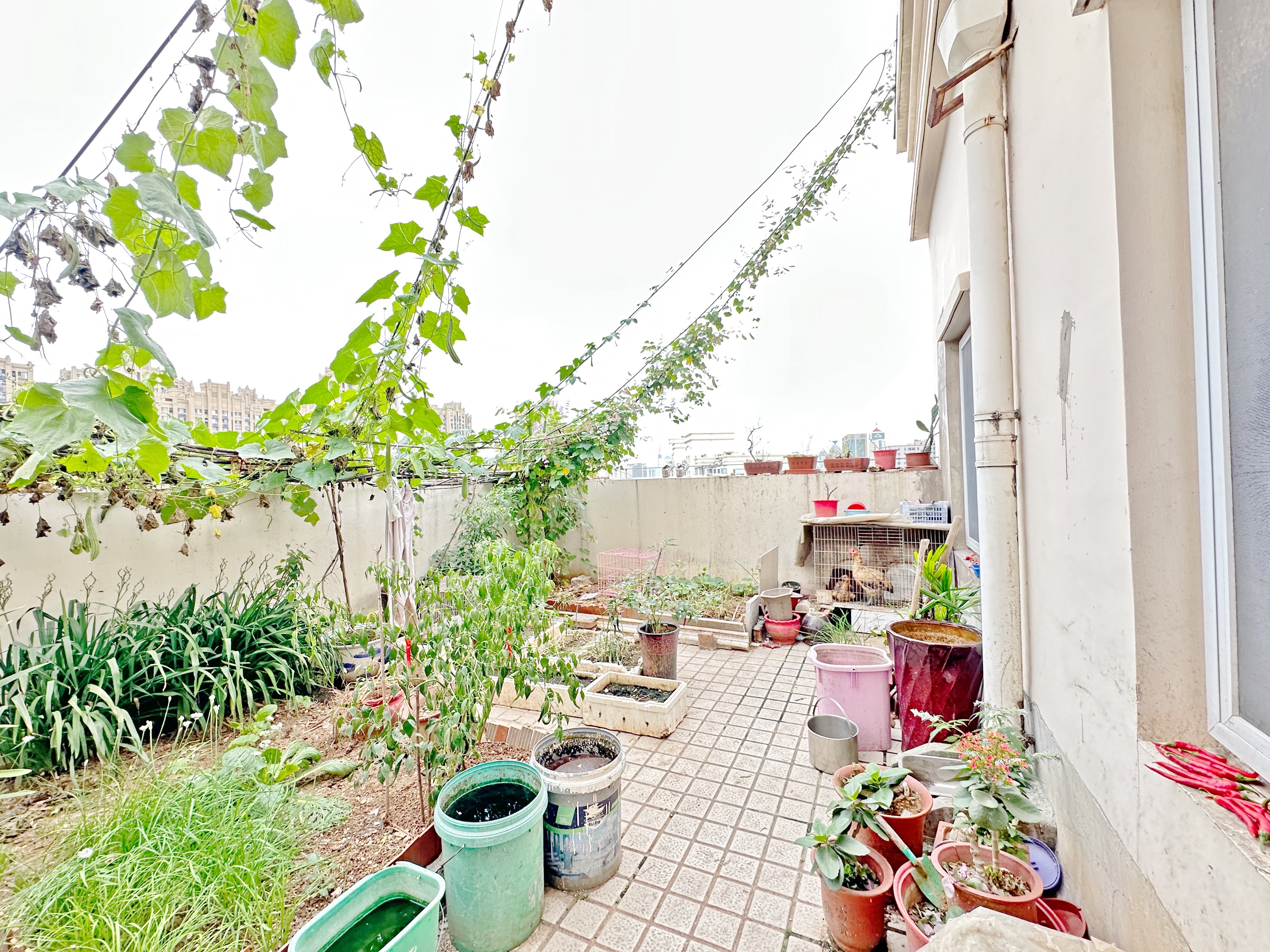 新世界阳光花园