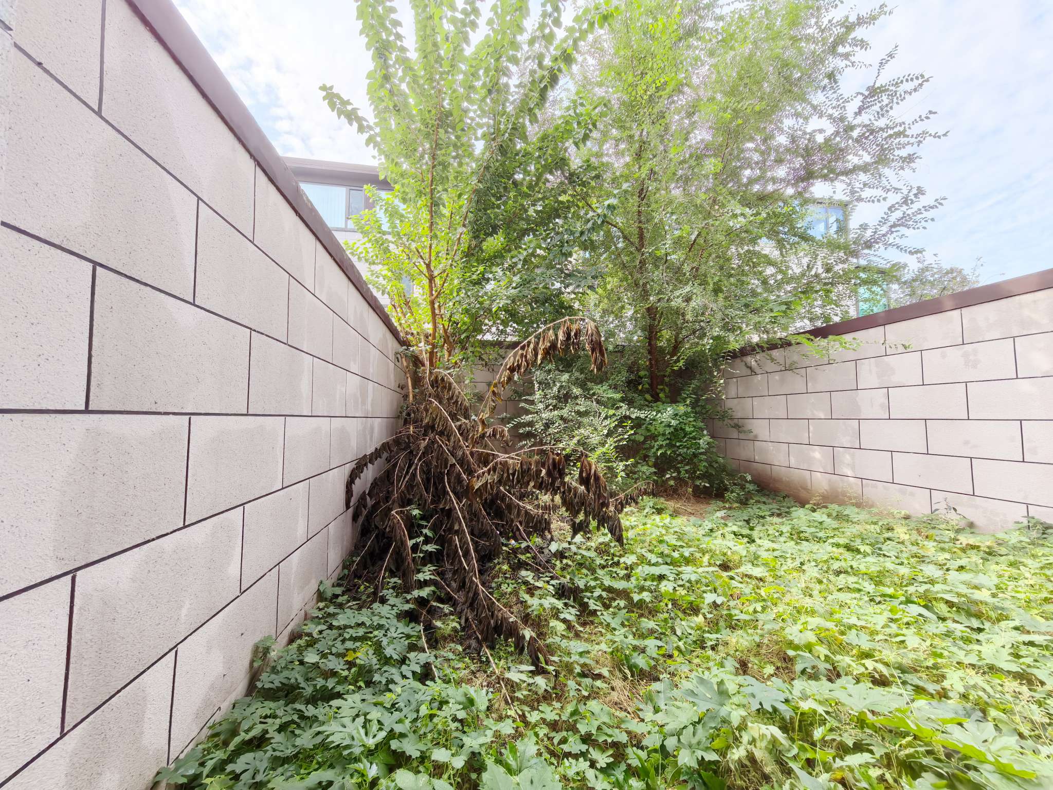 中国中铁诺德名府