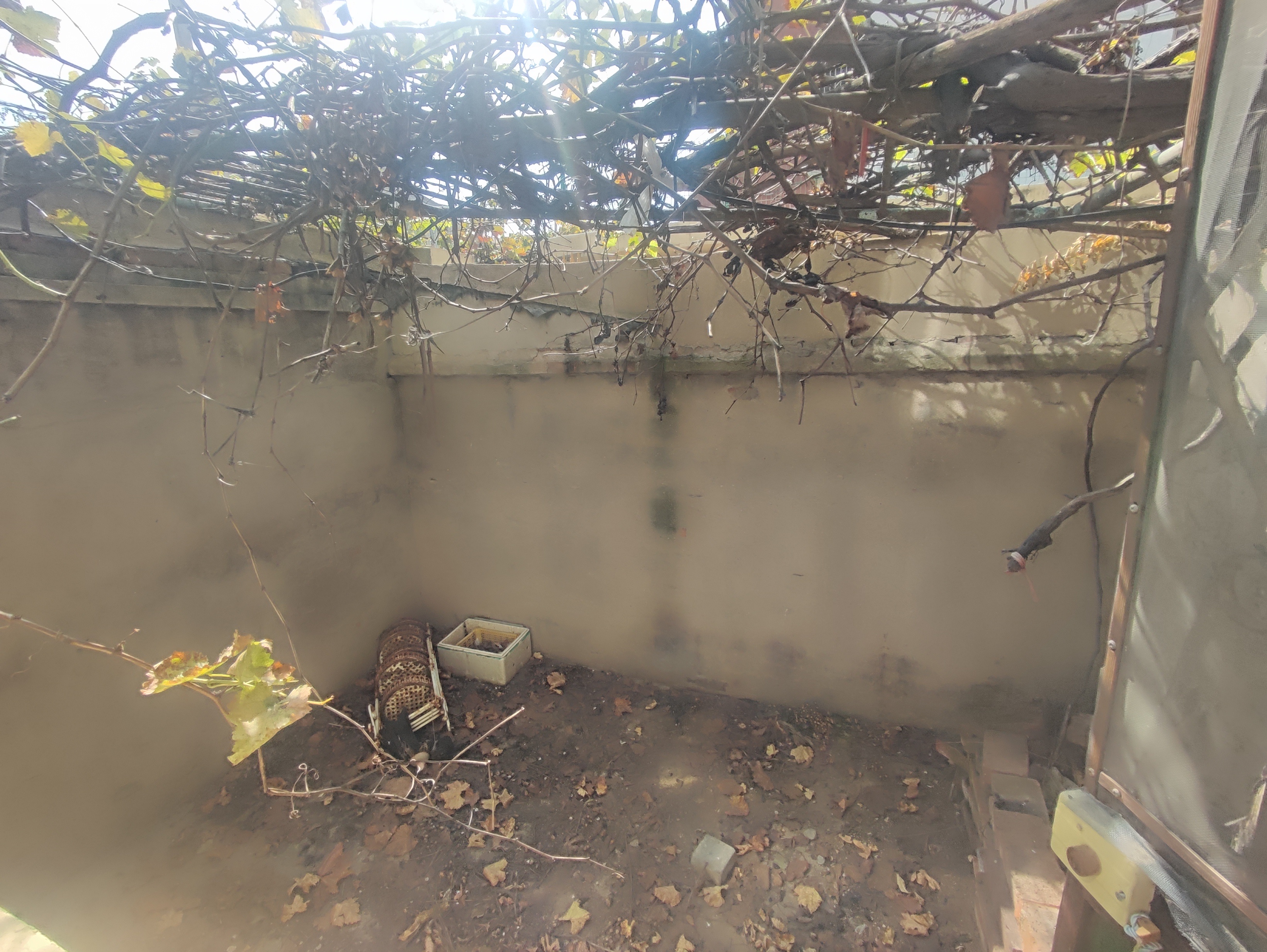 羊头峪东沟宿舍