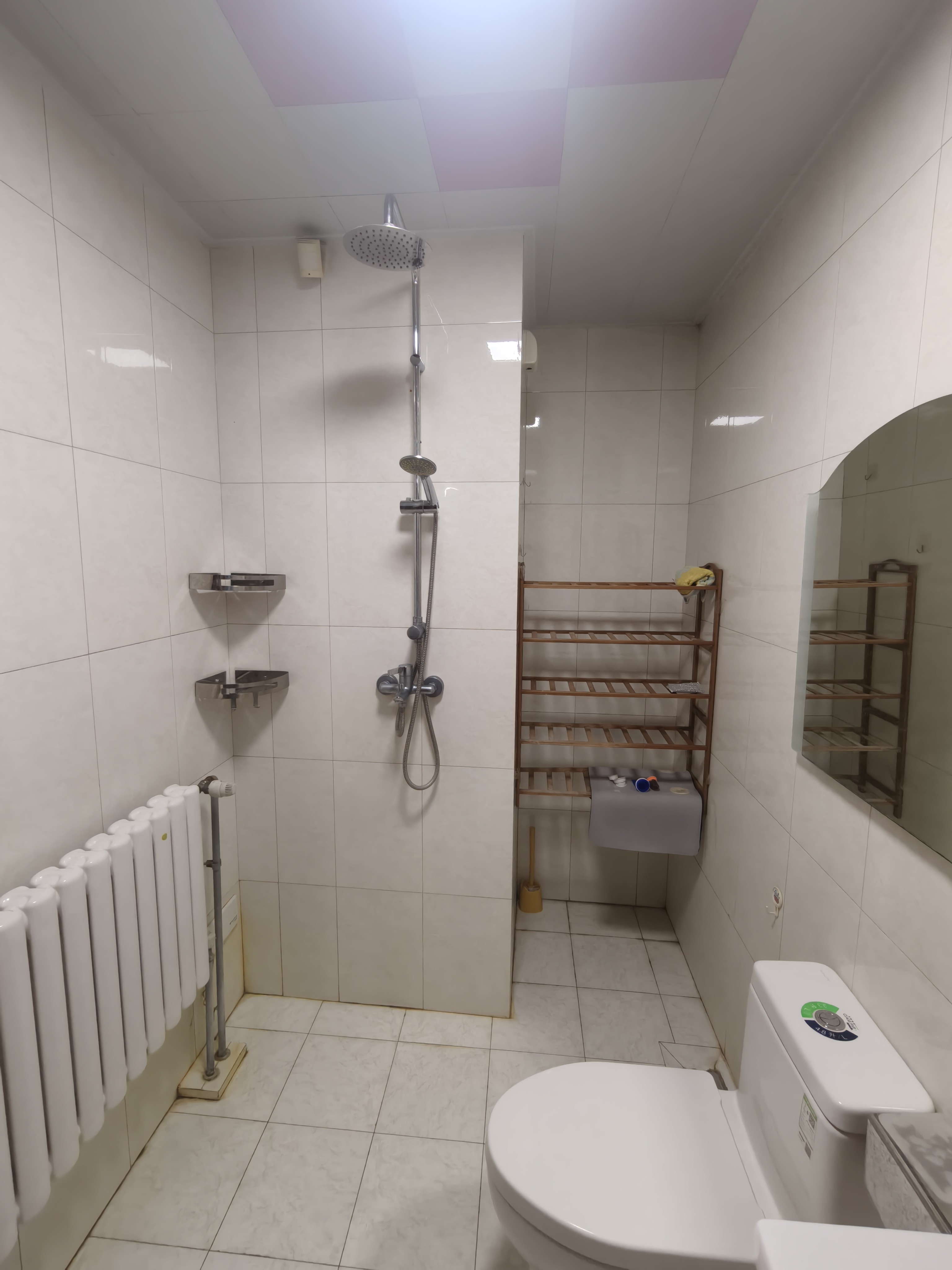 伟东新都(三区)白金瀚宫