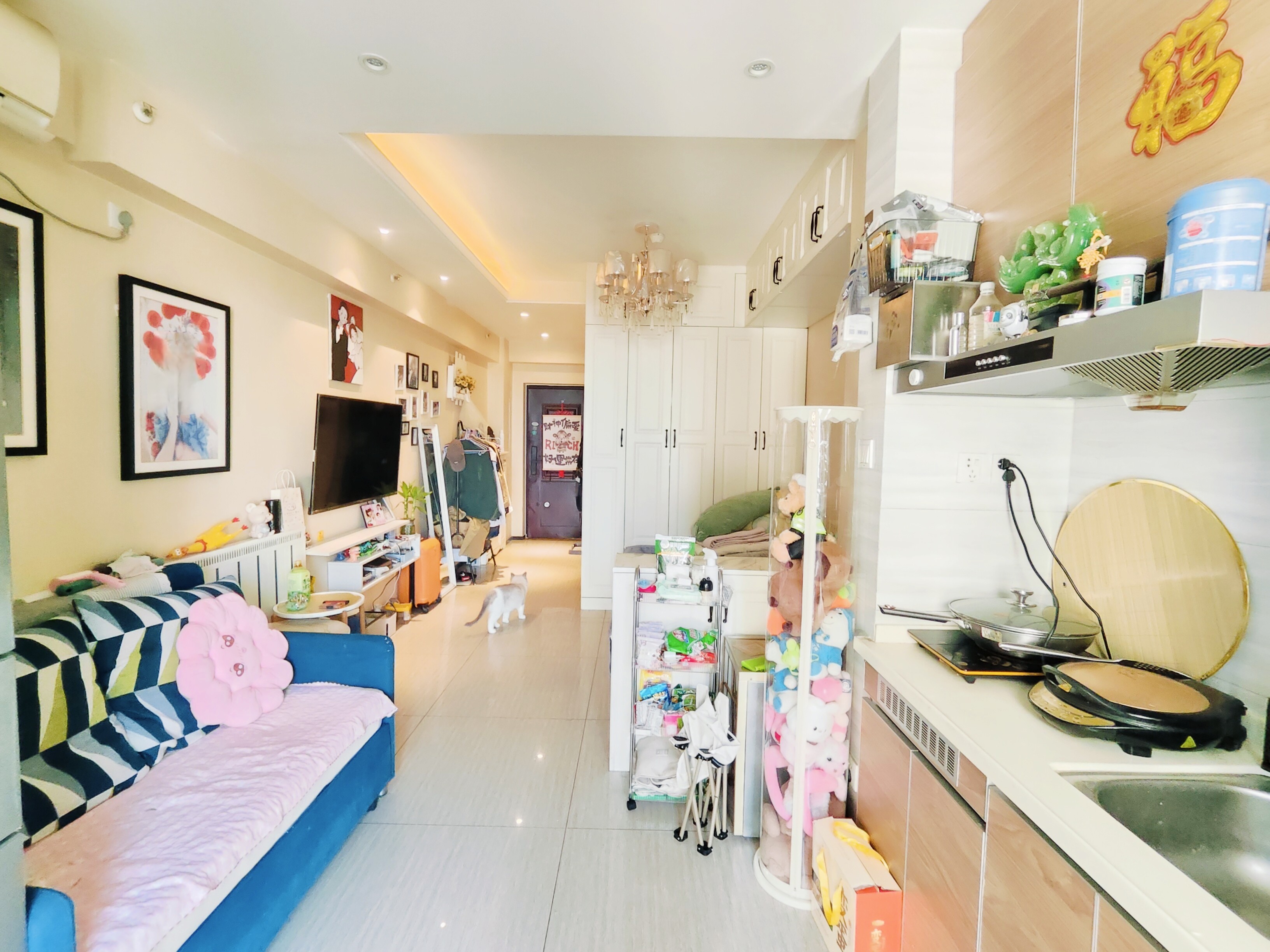 恒大滨河左岸公寓(临湖公馆花园)