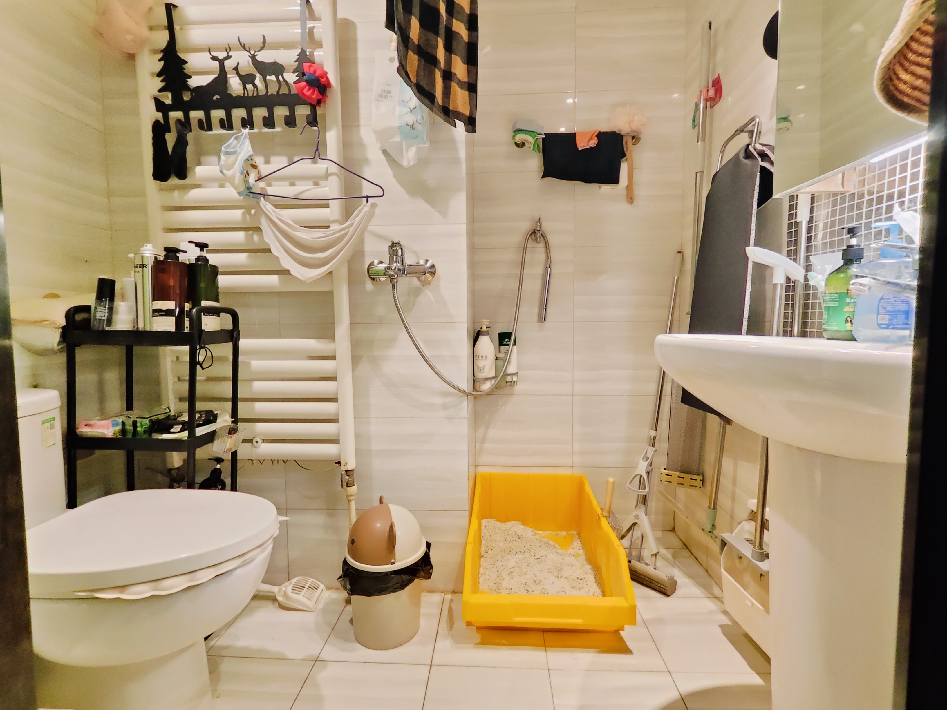 恒大滨河左岸公寓(临湖公馆花园)