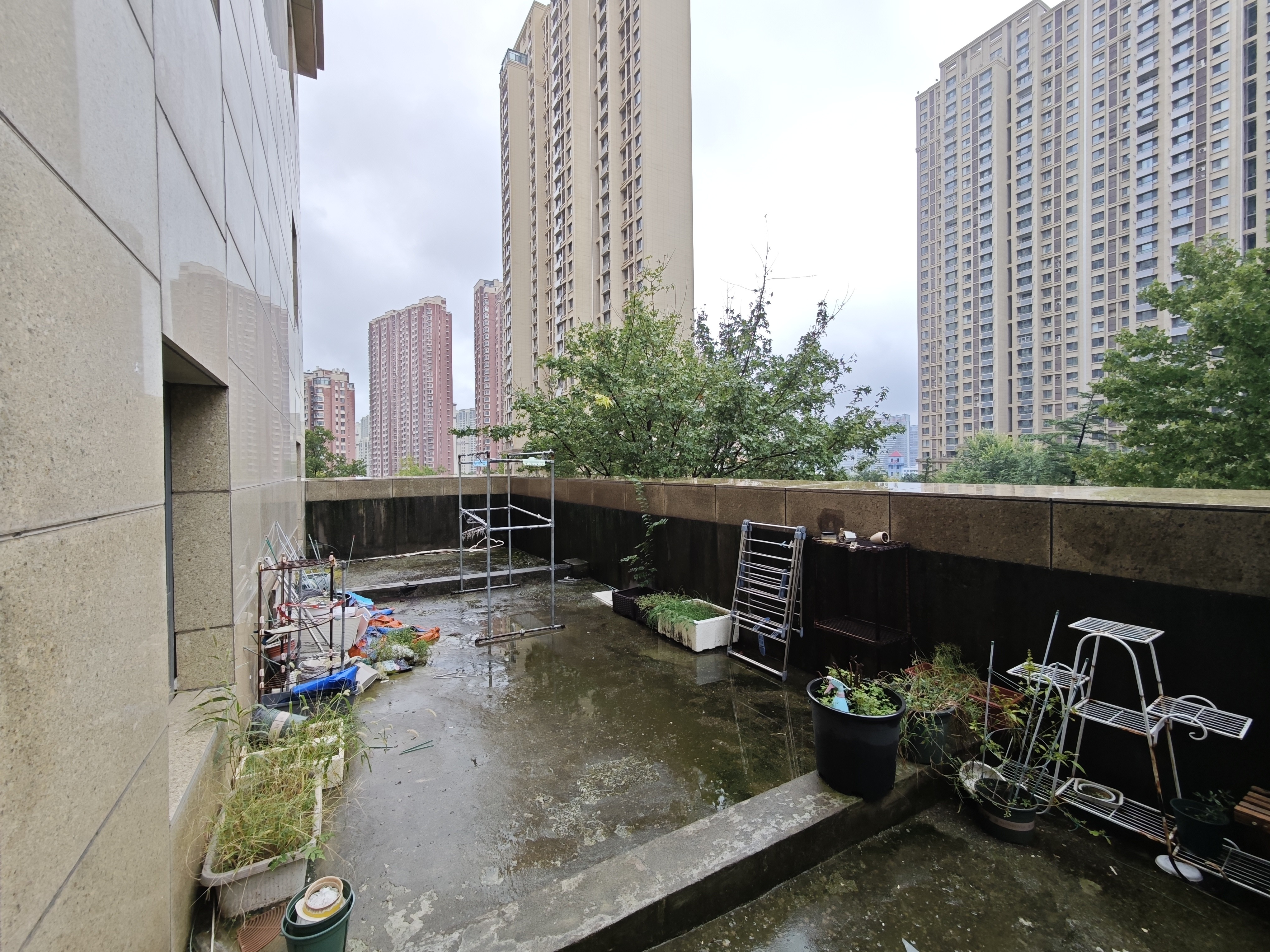 凤凰国际城北区