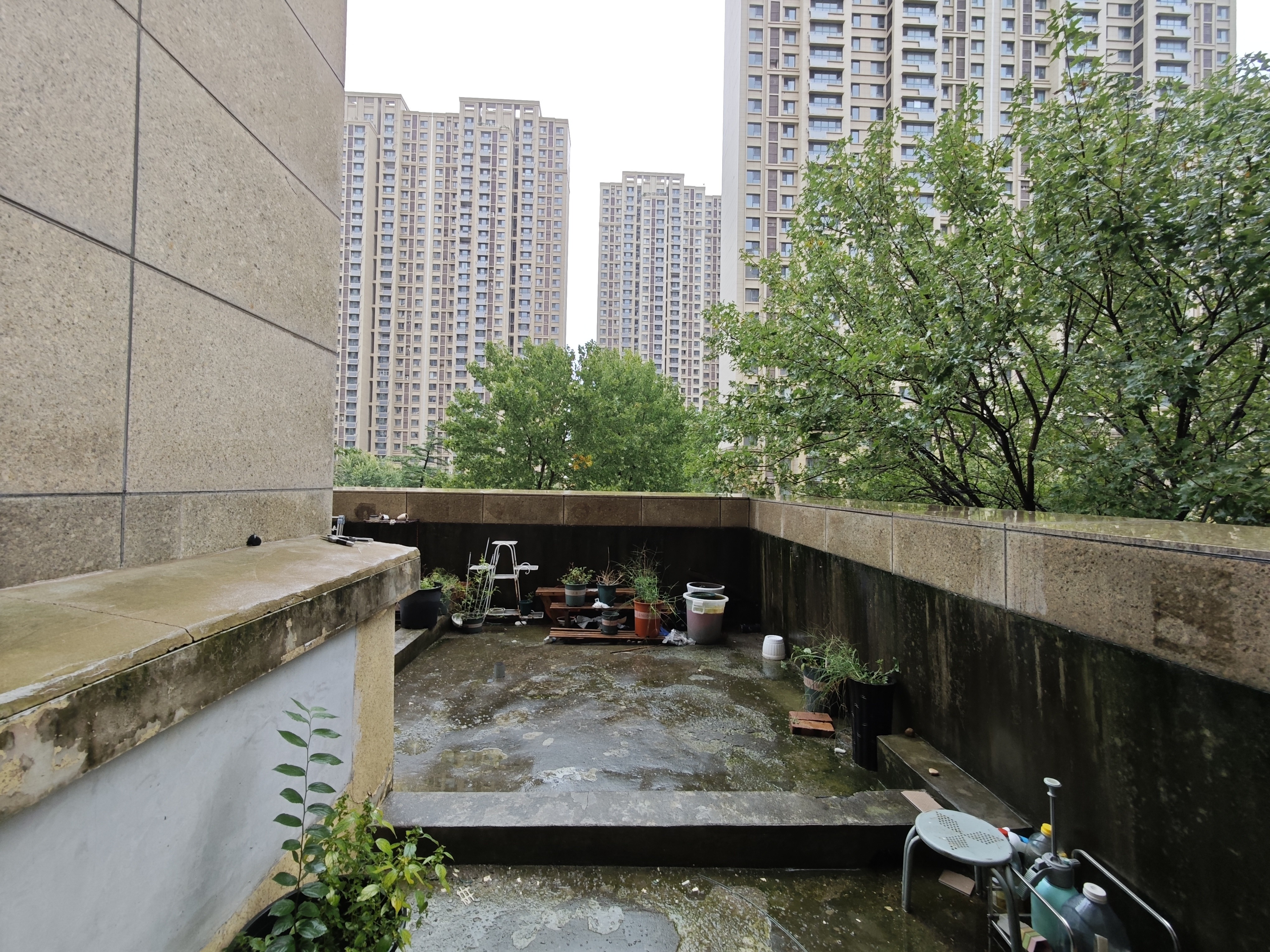 凤凰国际城北区