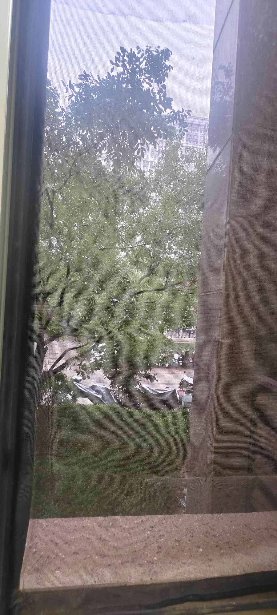 鲁能泰山7号二期