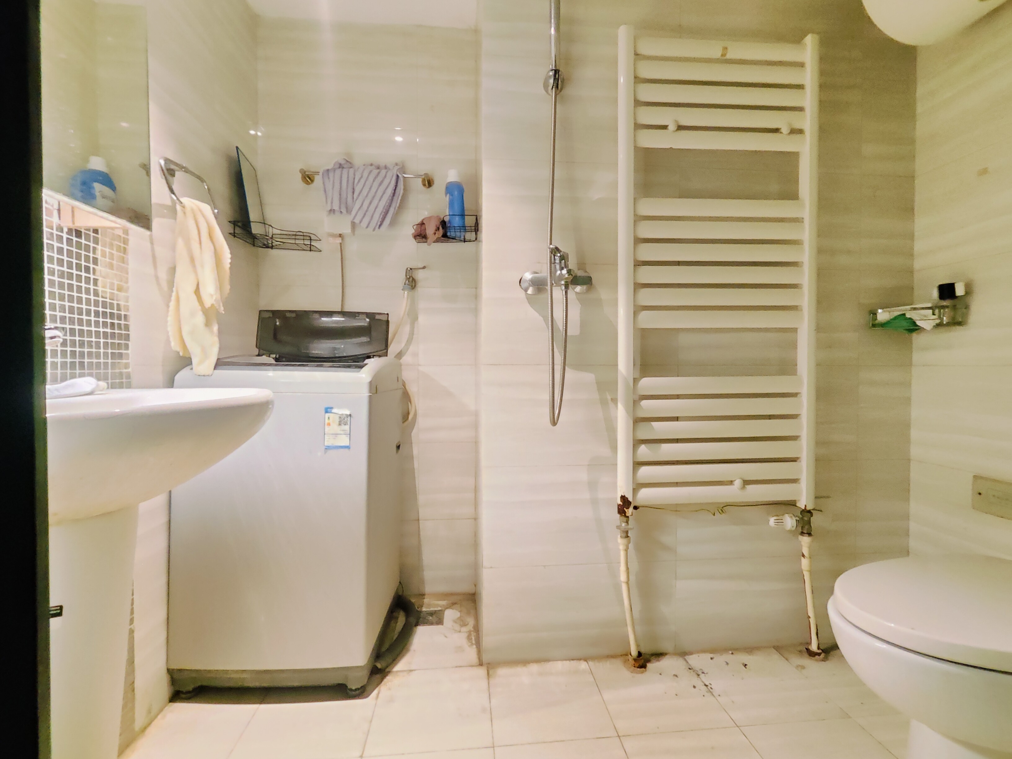 恒大滨河左岸公寓(临湖公馆花园)