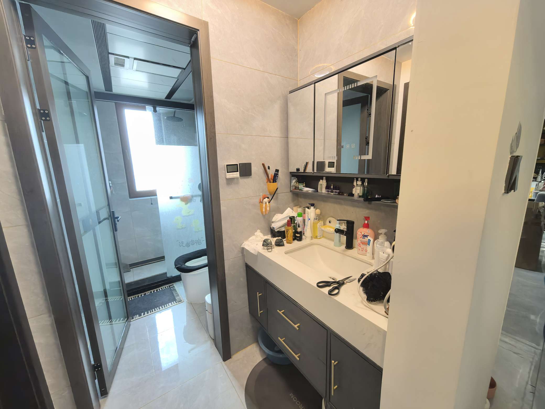 天鸿万象新天公园大道