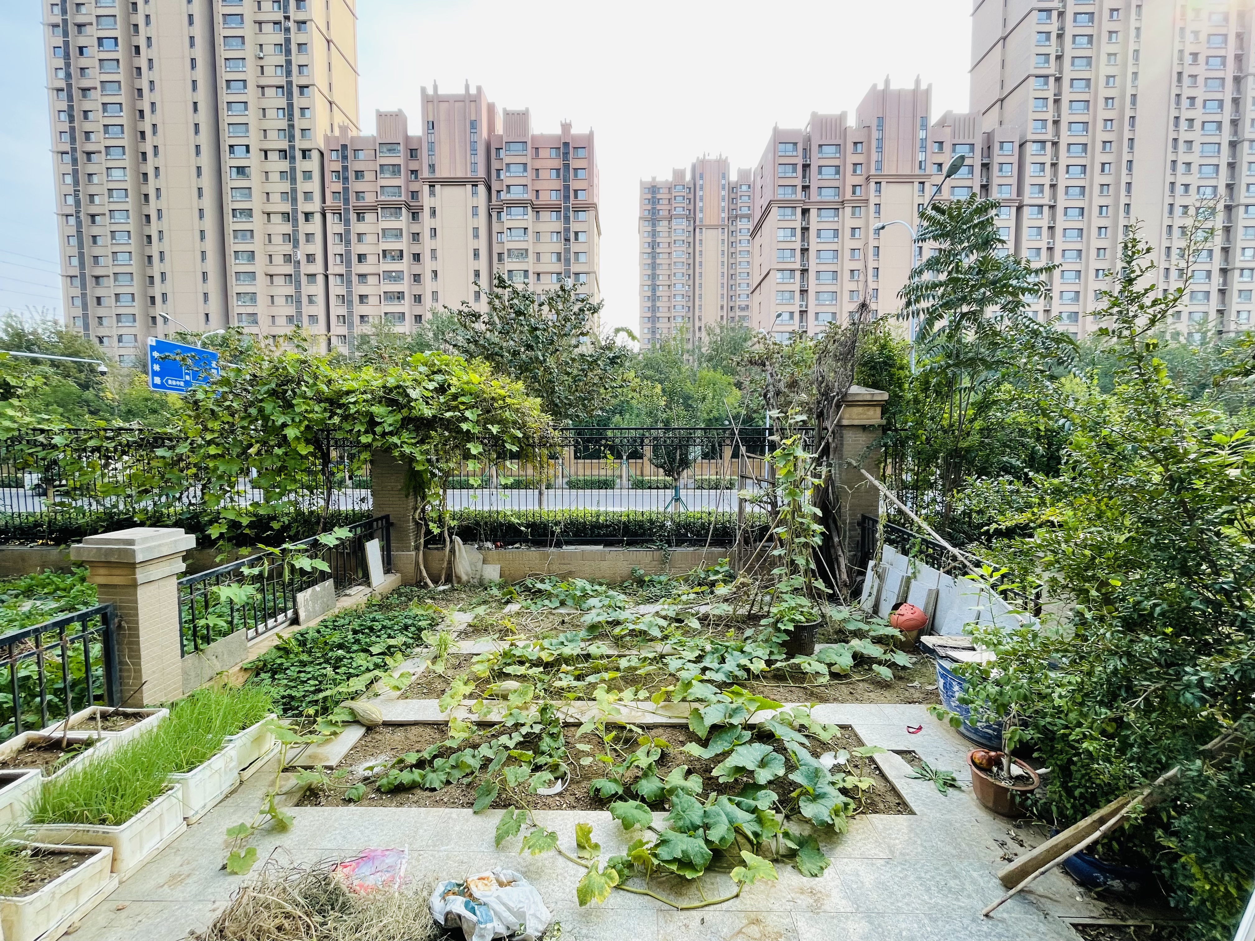 中海紫御东郡(东区)