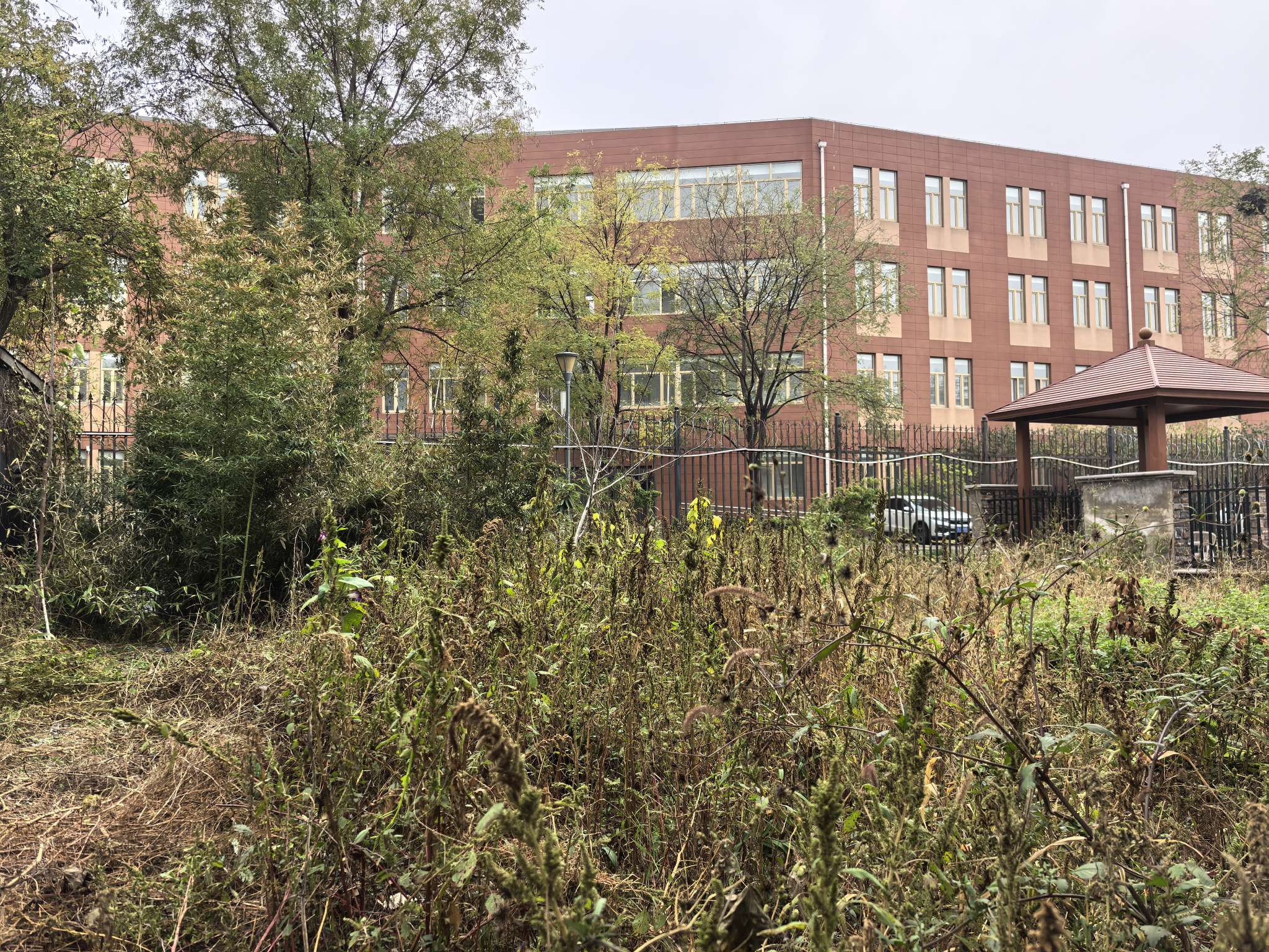 碧桂园凤凰城西区别墅