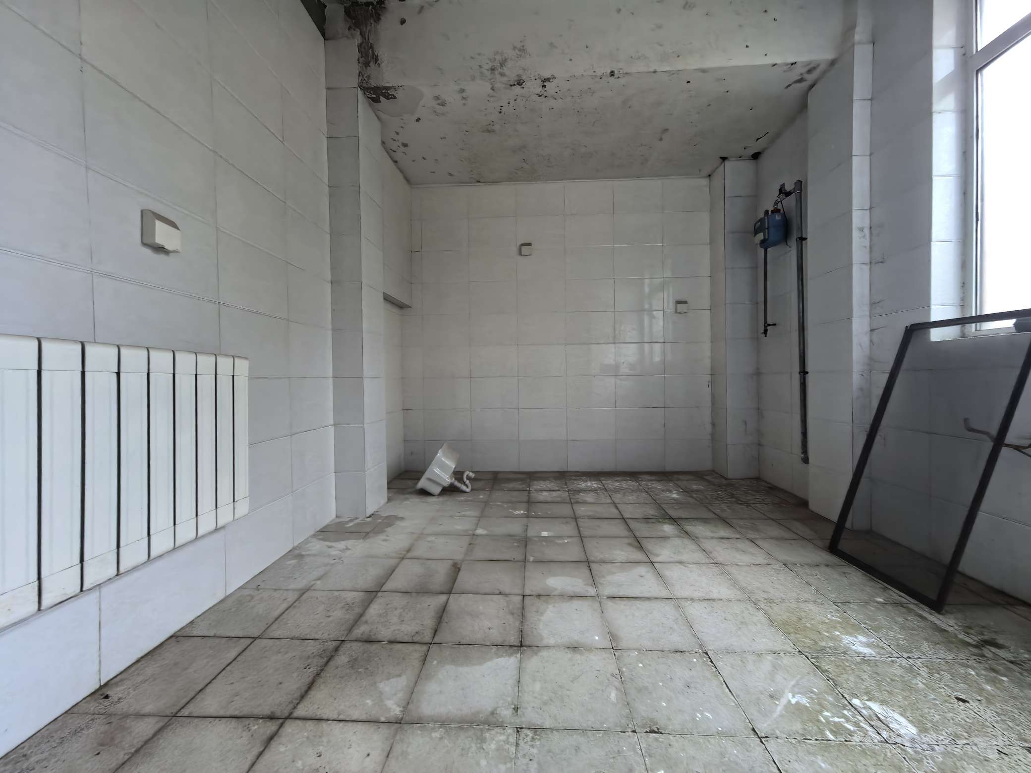 碧桂园凤凰城西区别墅