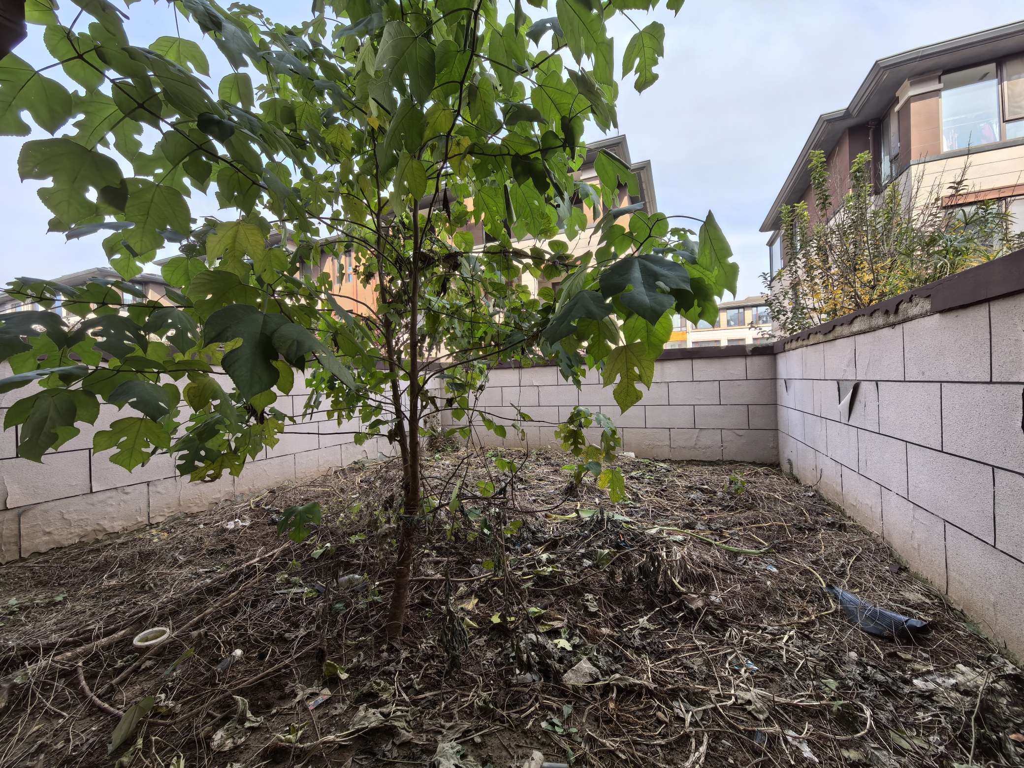 中国中铁诺德名府