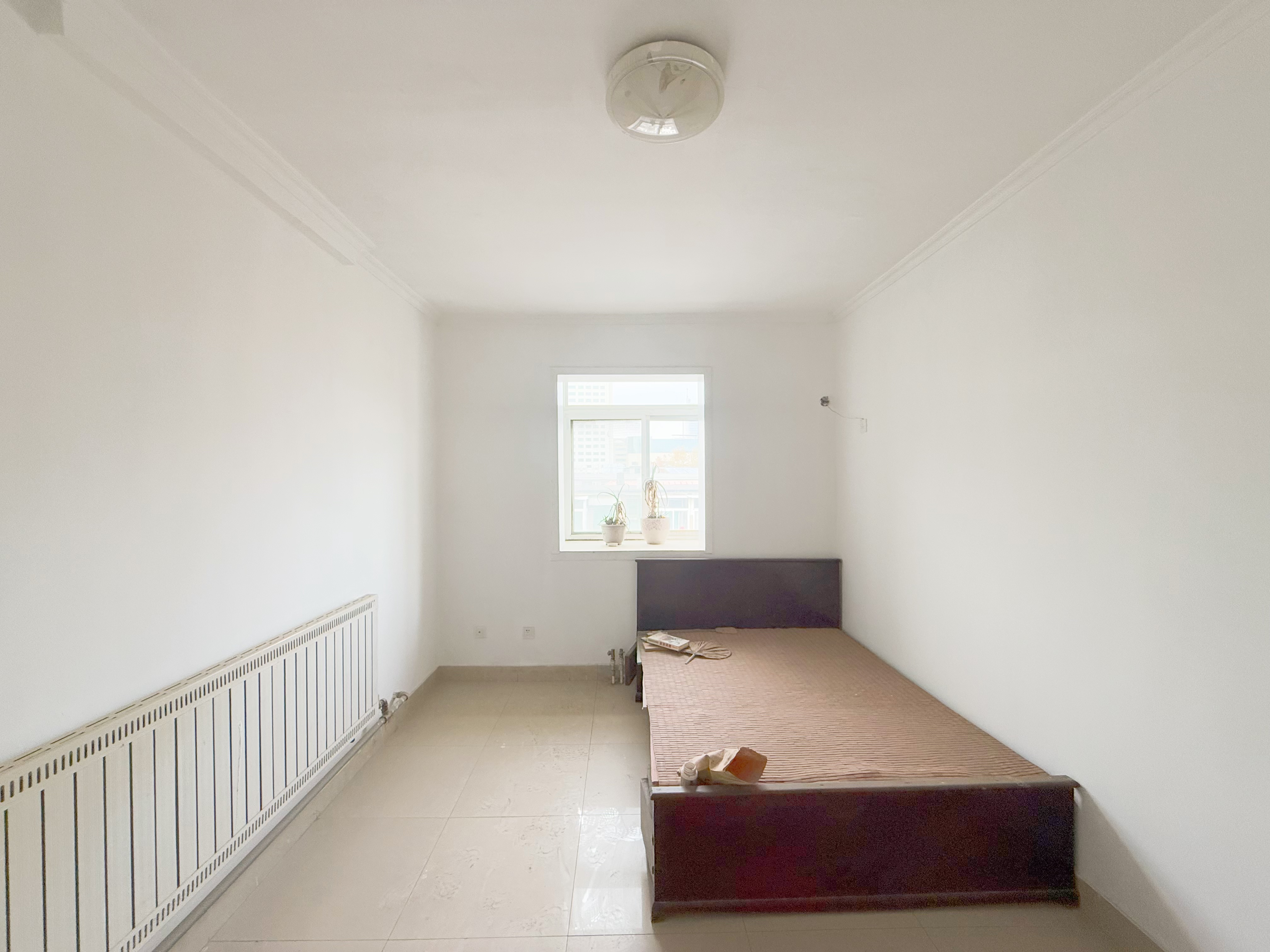 三里庄东街98号