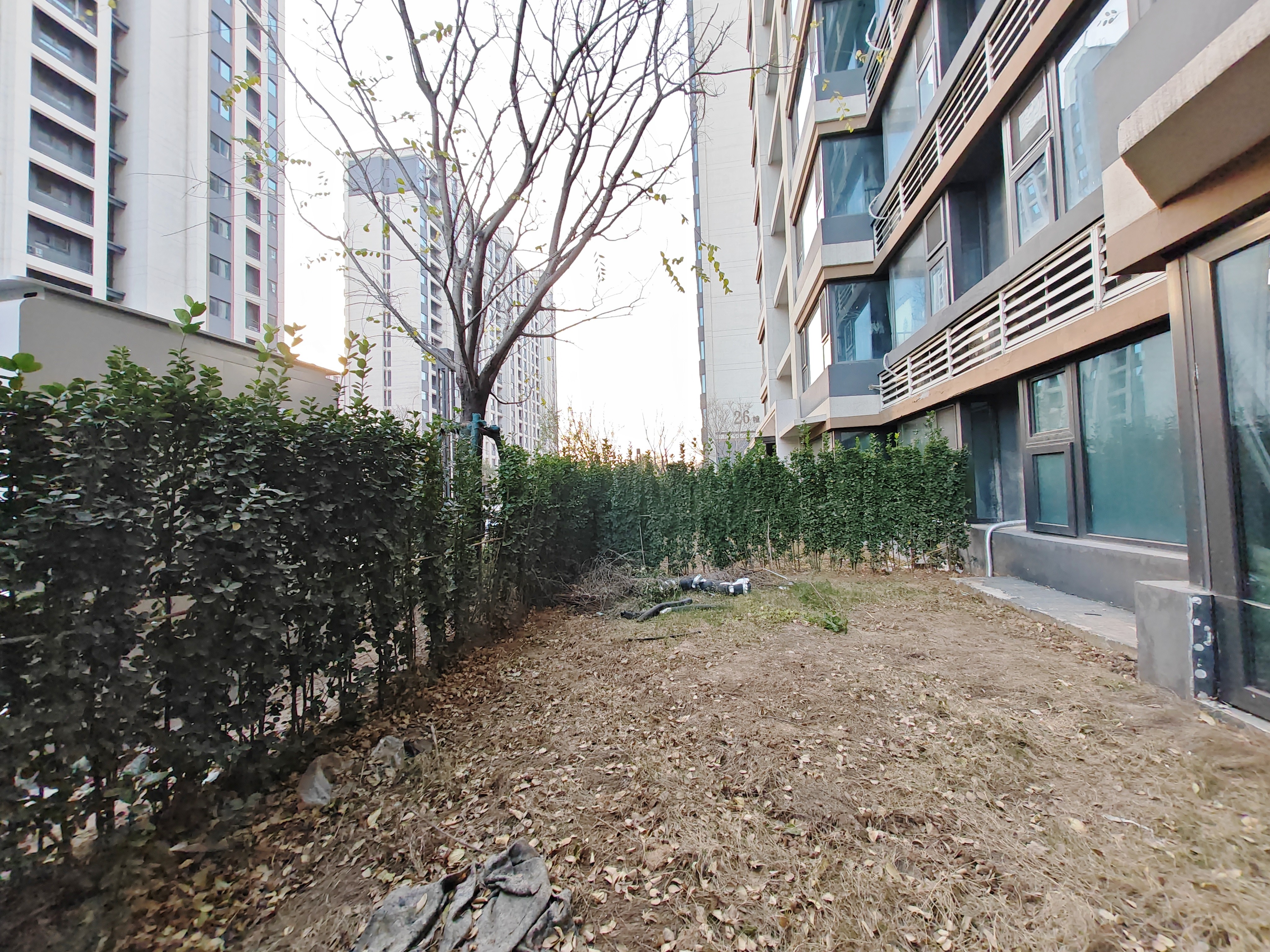 金科华都学林府