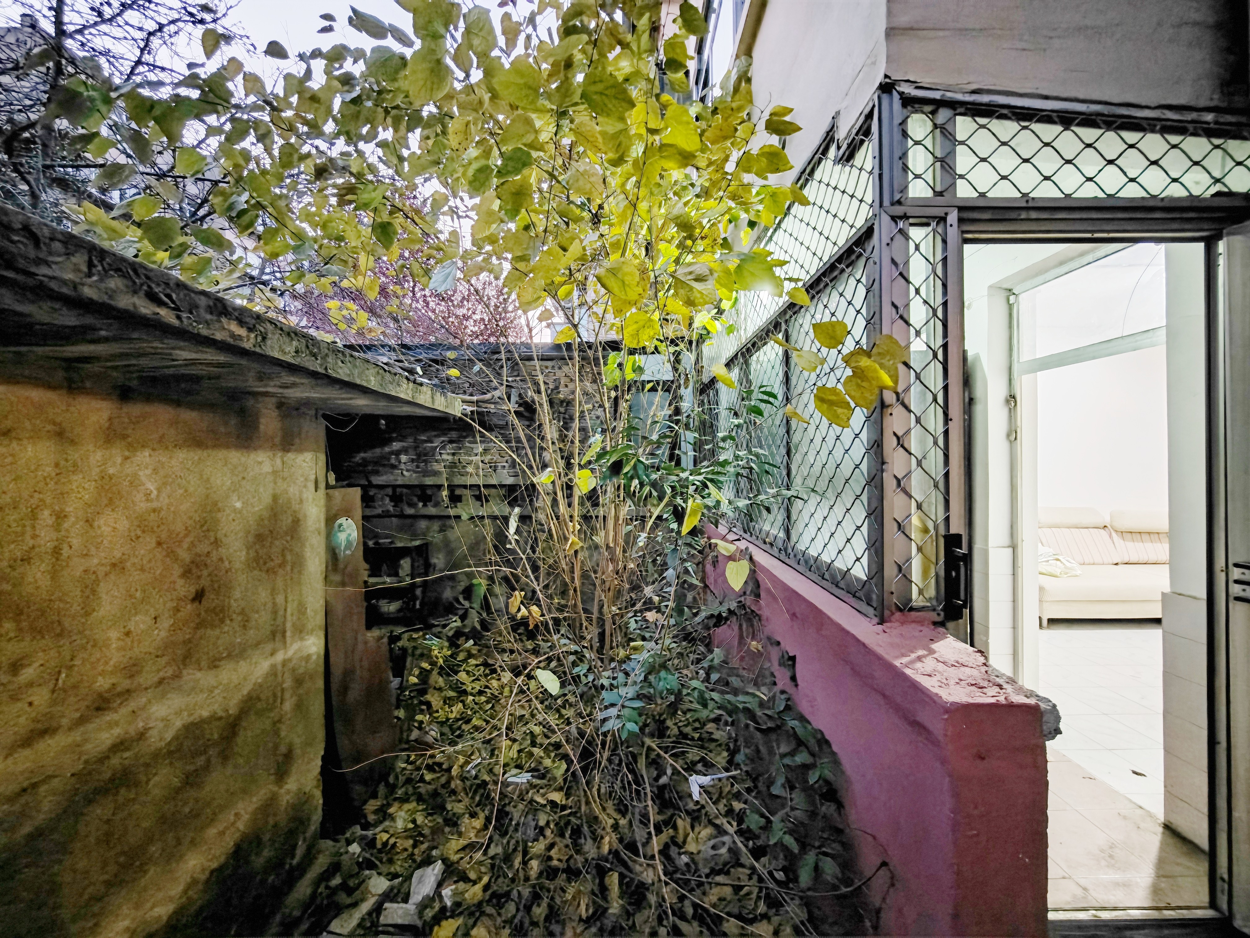 闵子骞路烟草宿舍