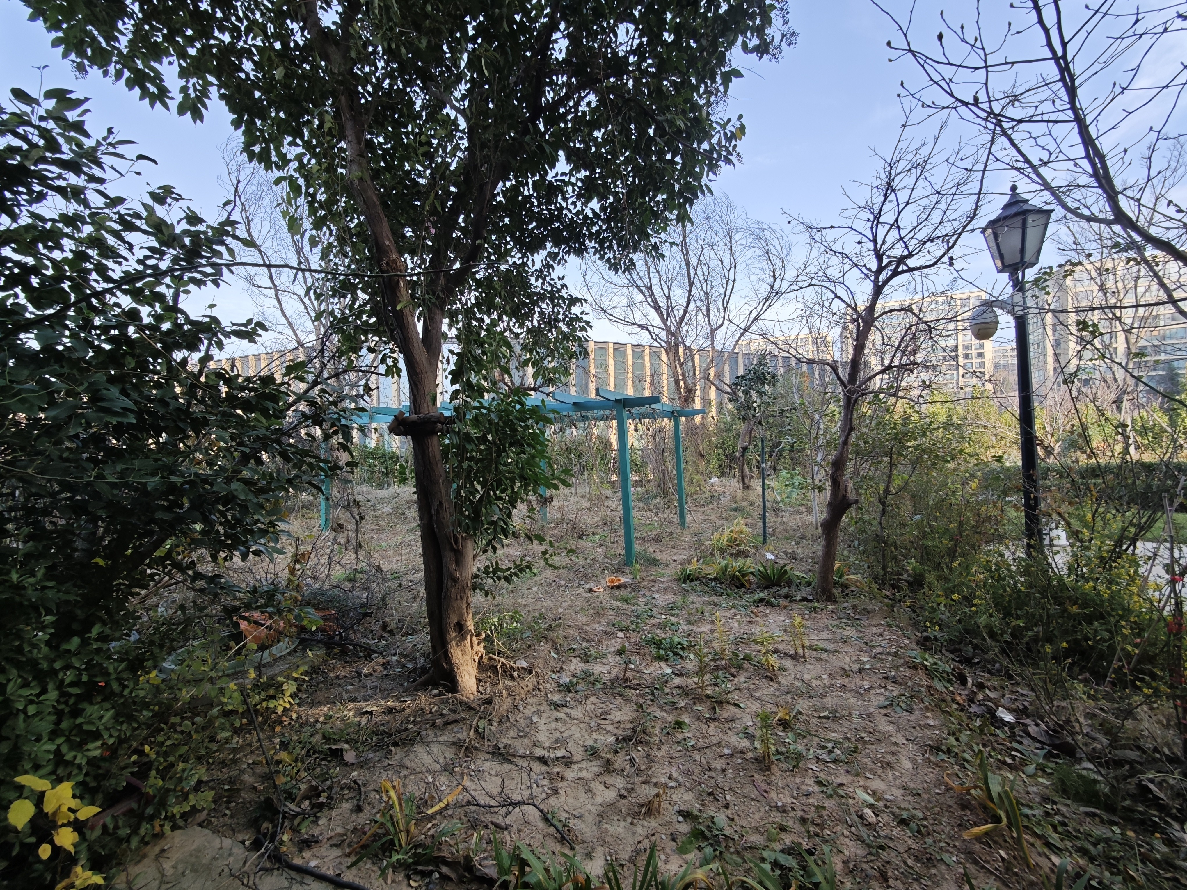 海尔绿城全运村锦兰园